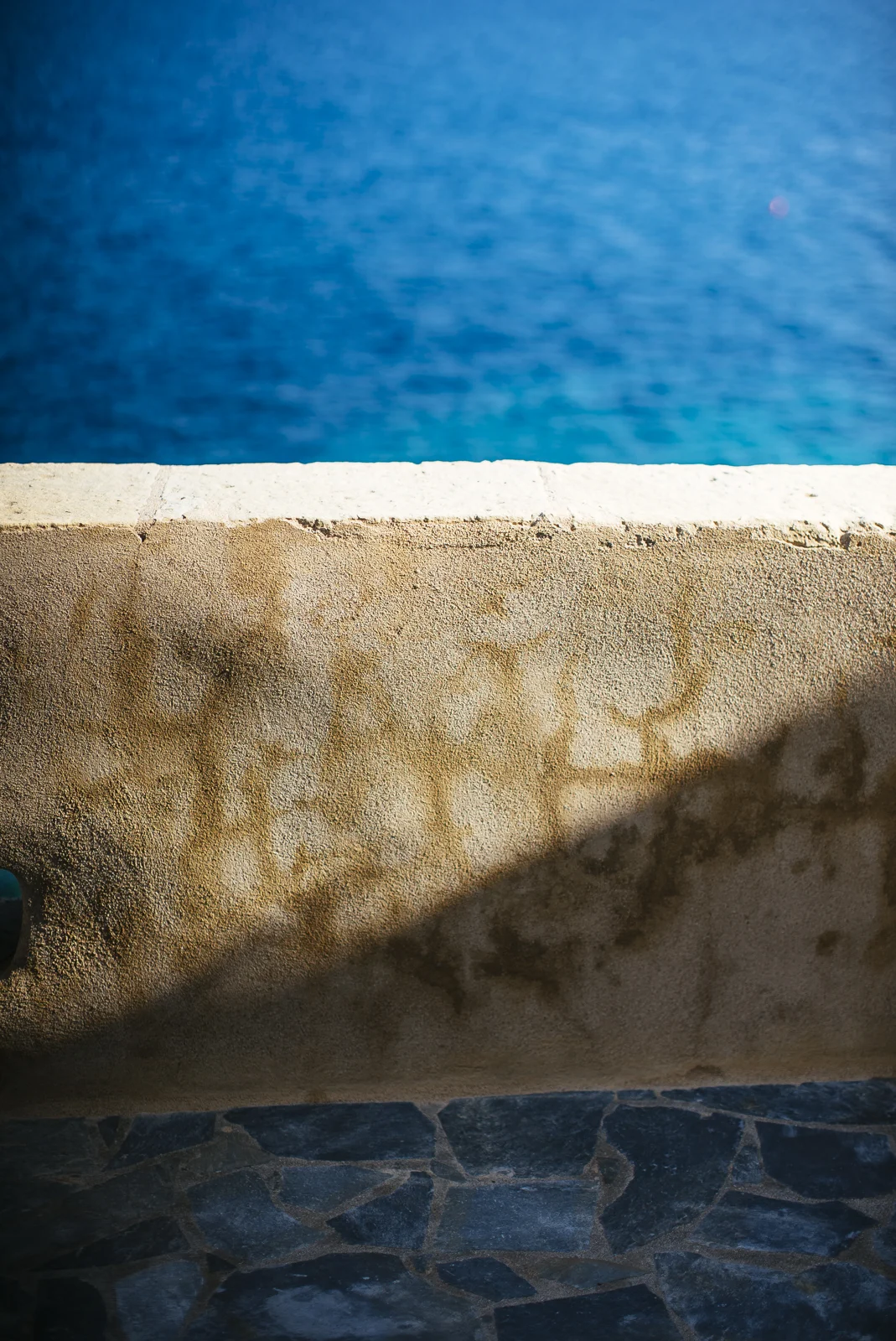 _DSC0816.jpg