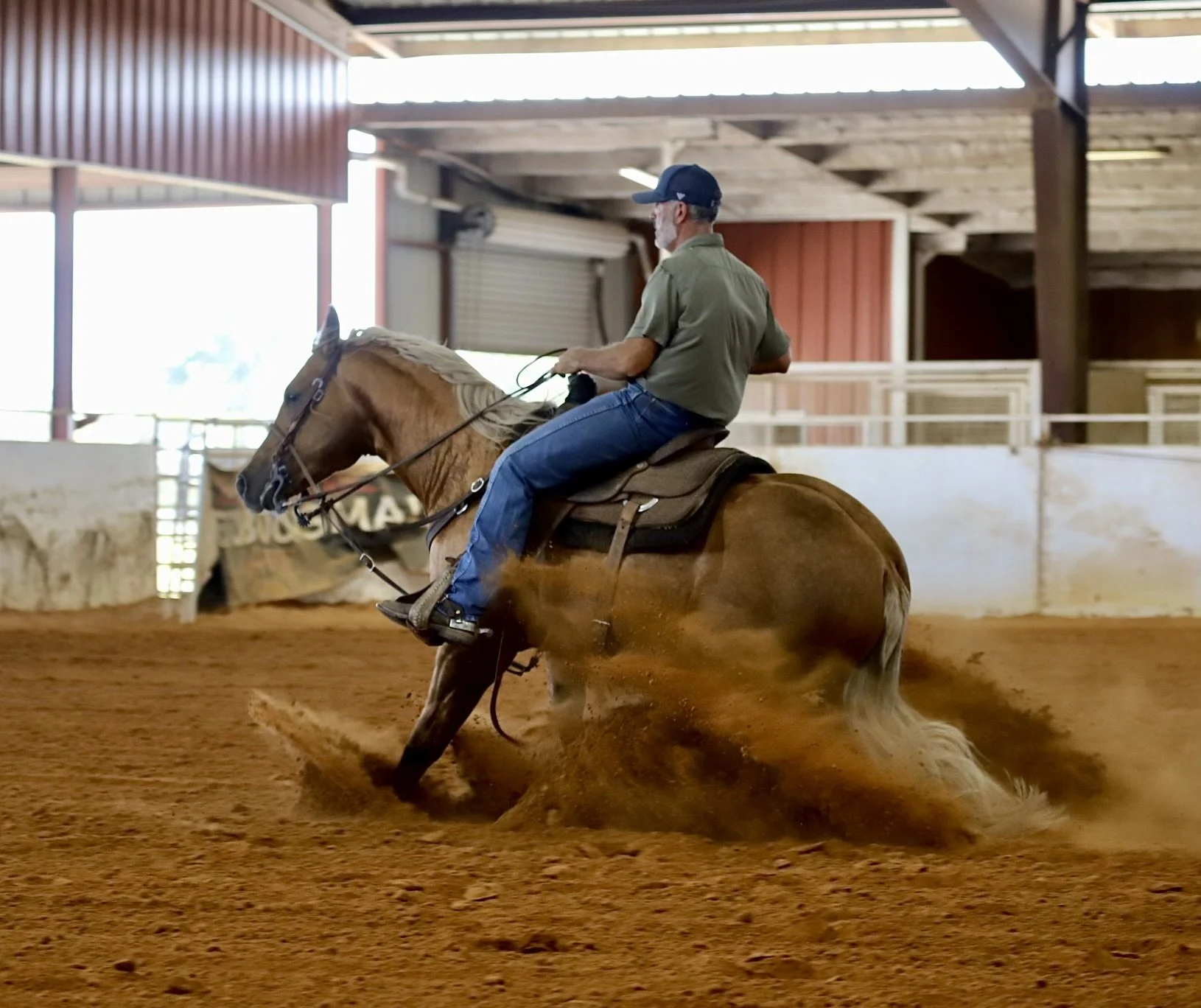 Reel Deal — The Ranch Equine, Inc.