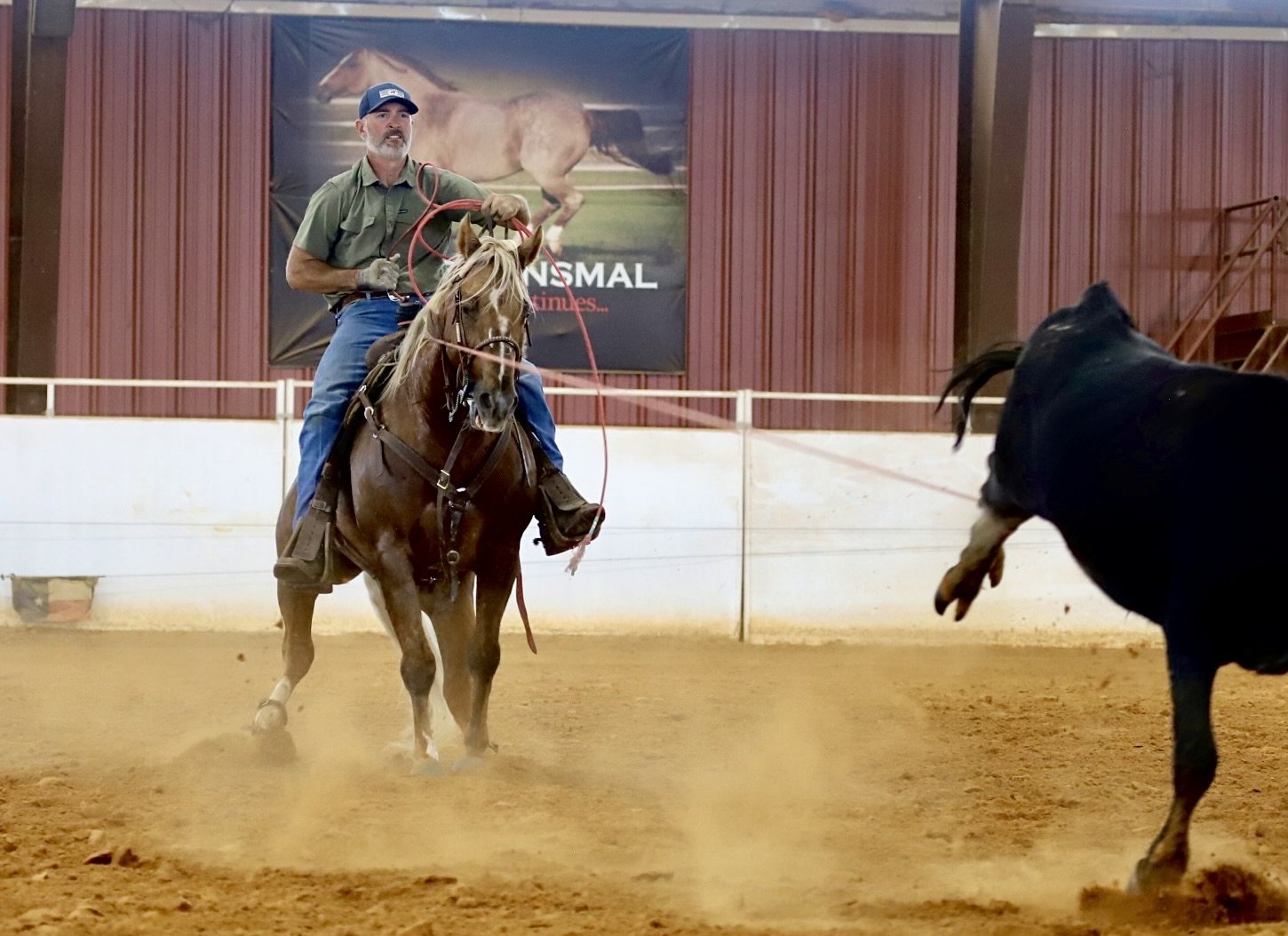 Reel Deal — The Ranch Equine, Inc.