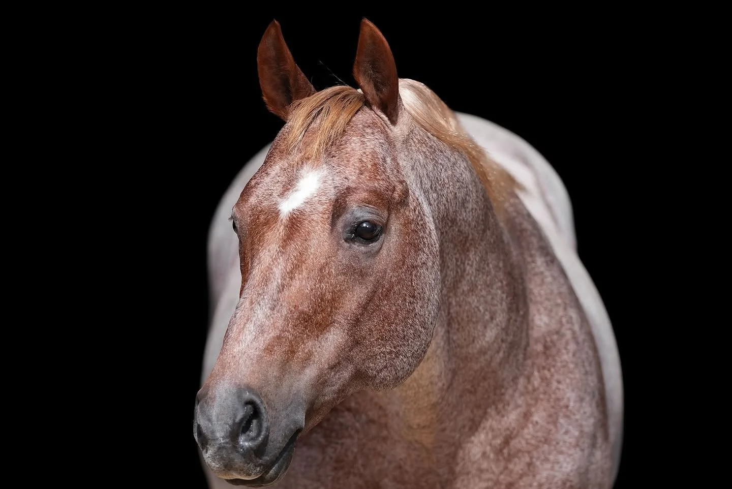 468818860_17983705325767549_8778963390381885671_n.jpg