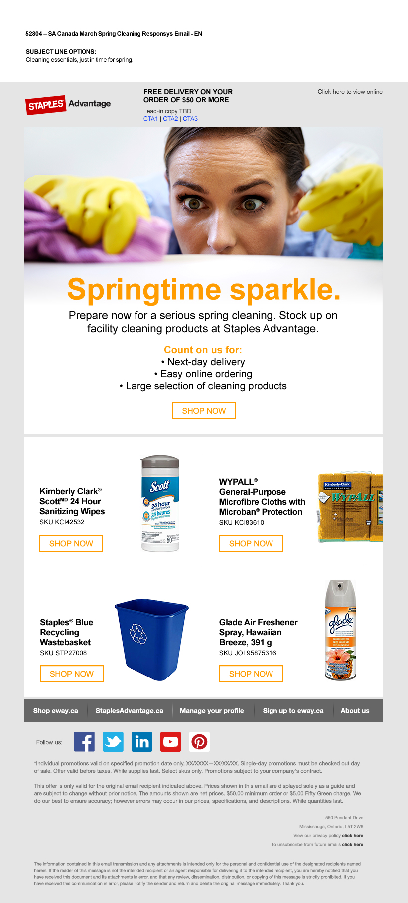 52804_SA_March_Spring_Cleaning_Email_EN.jpg