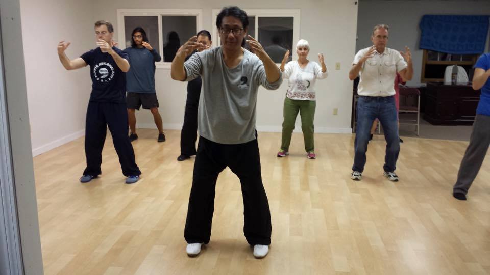 Luo Dexiu Seminar 2017