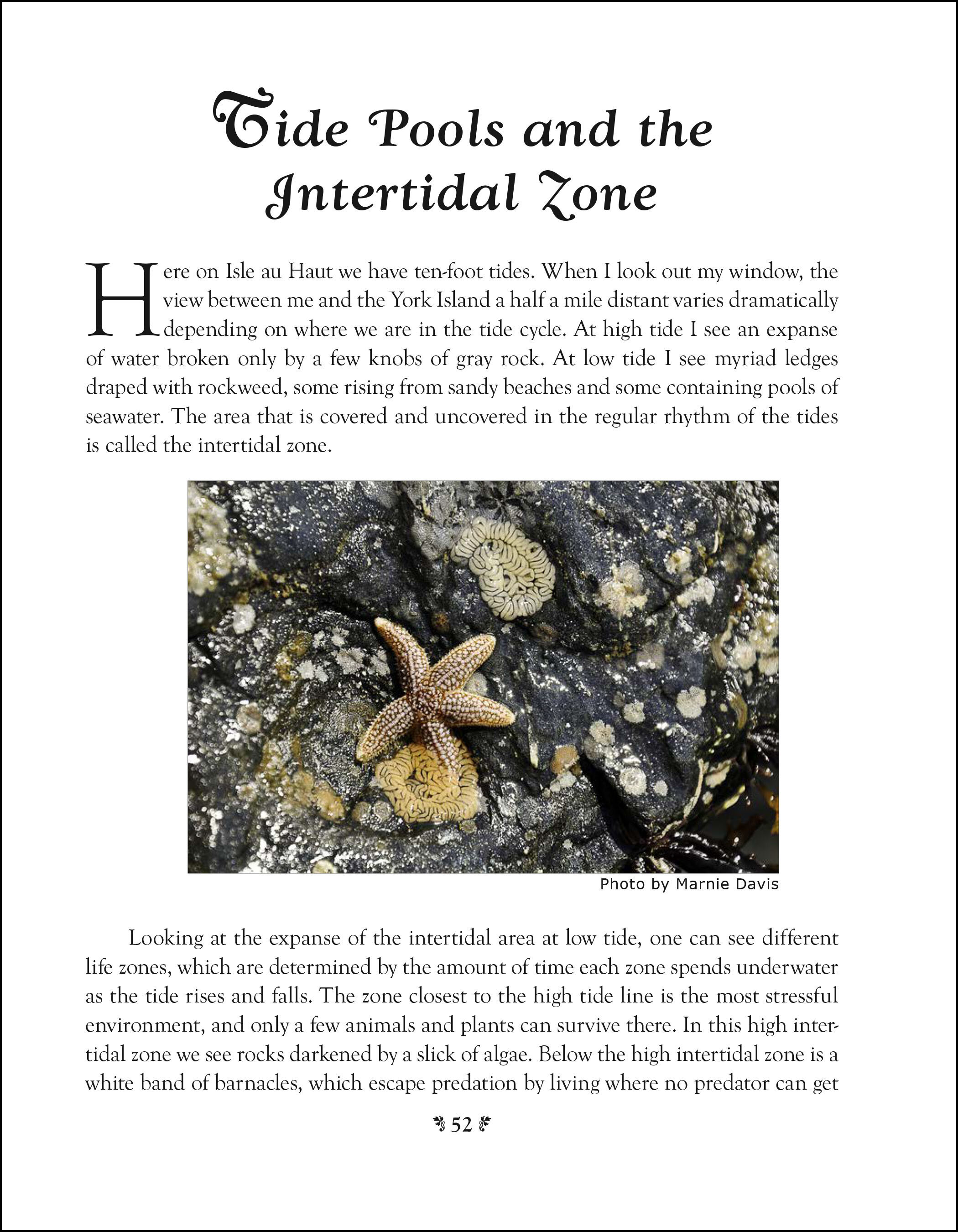 Island Naturalist Page 52 larger border.jpg