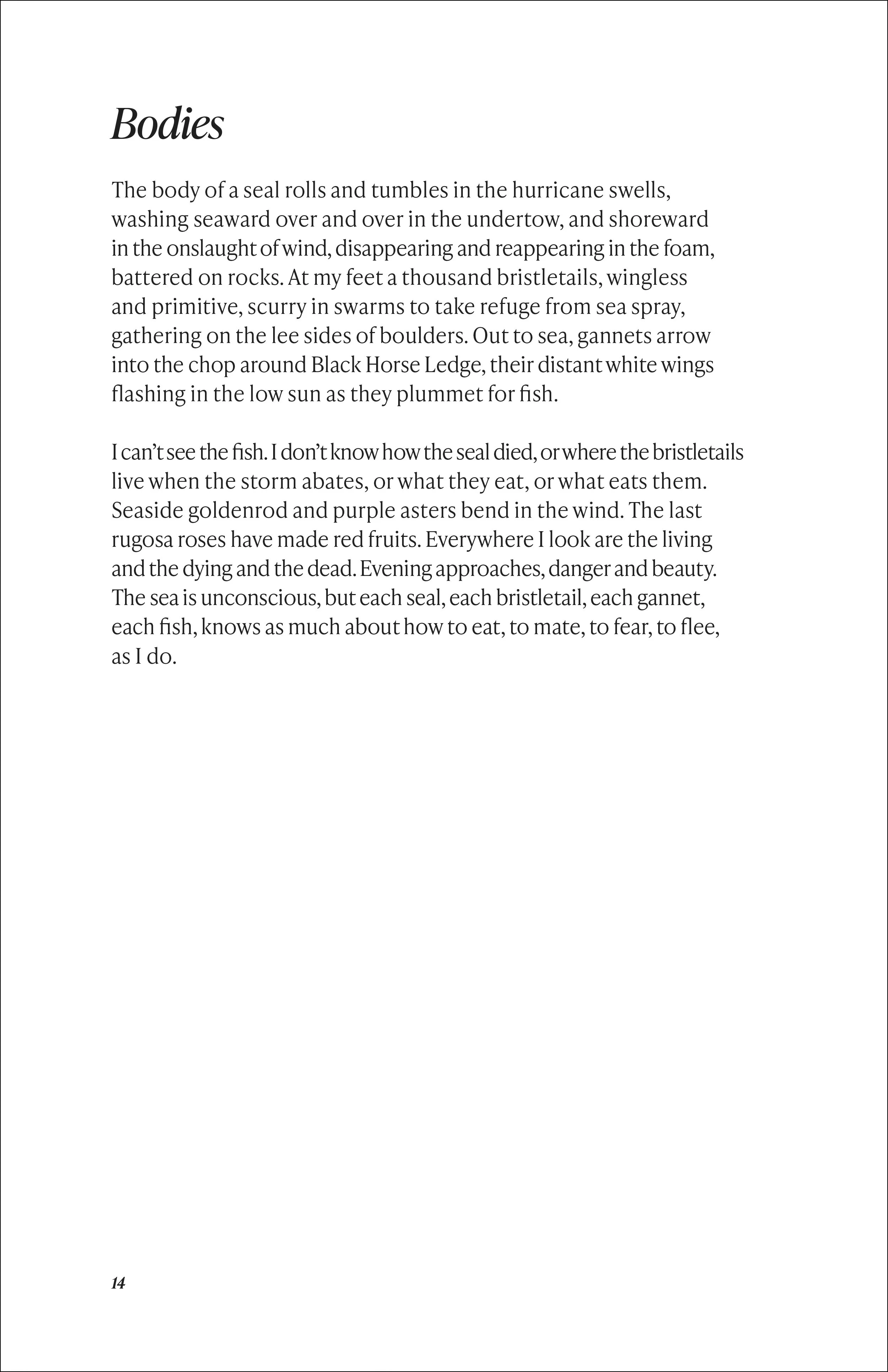 Human Nature pages-14.jpg