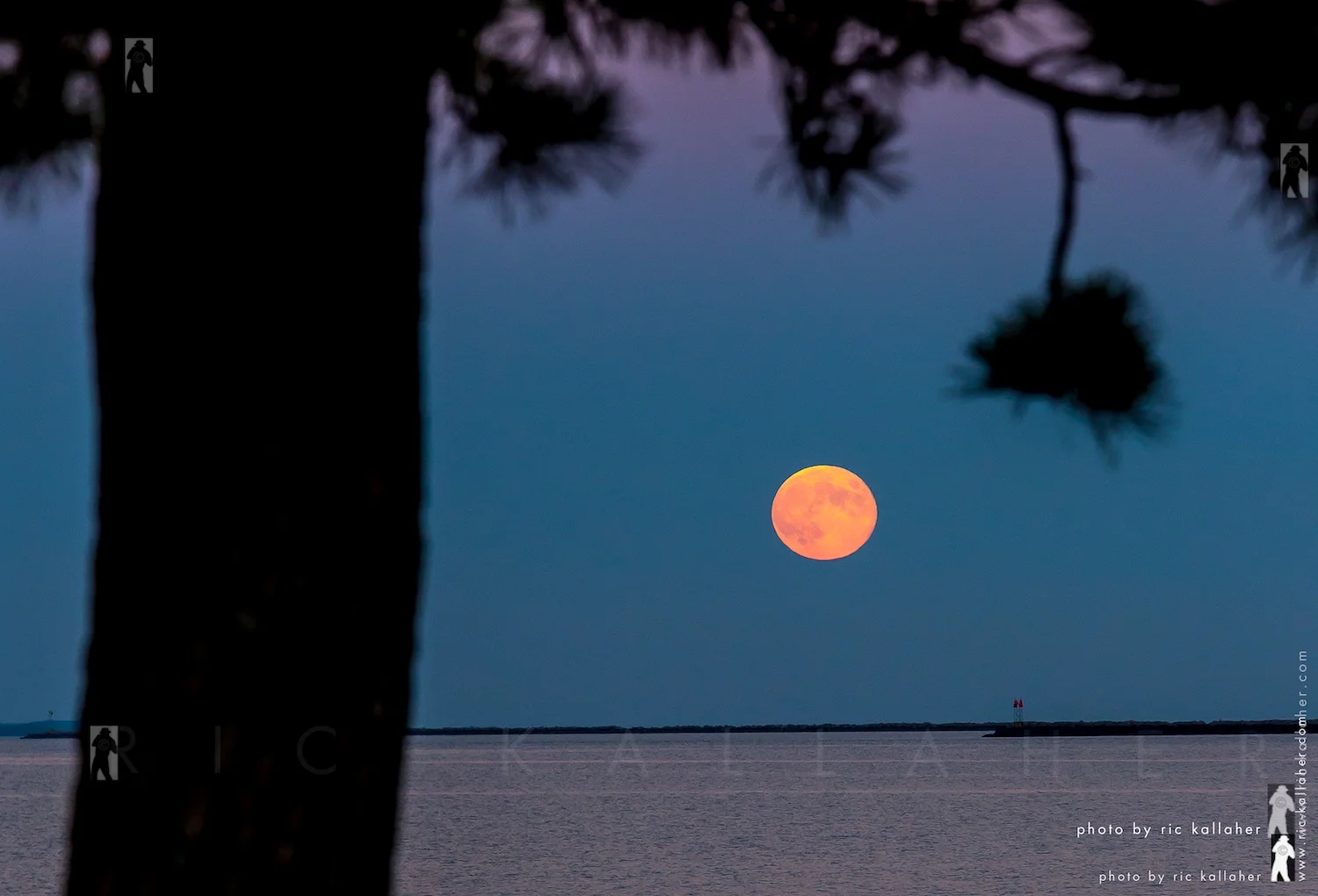 The Harvest Moon Rising Over Milford