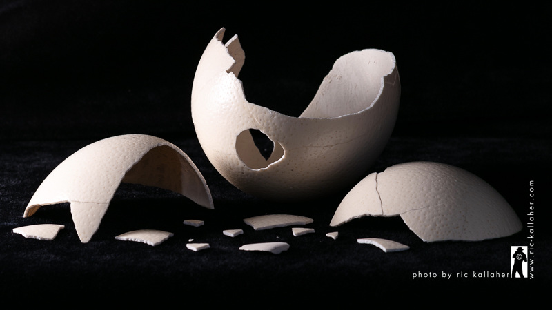 The-Egg-Wabi-Sabi-Ric-Kallaher-Photo.jpg
