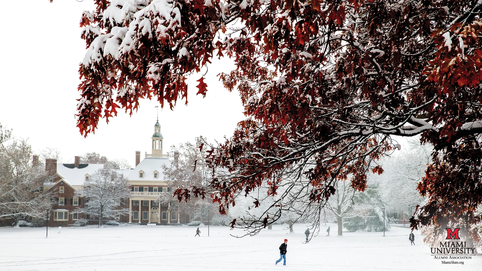 Miami Wakes up from Hibernation: B Team takes Second