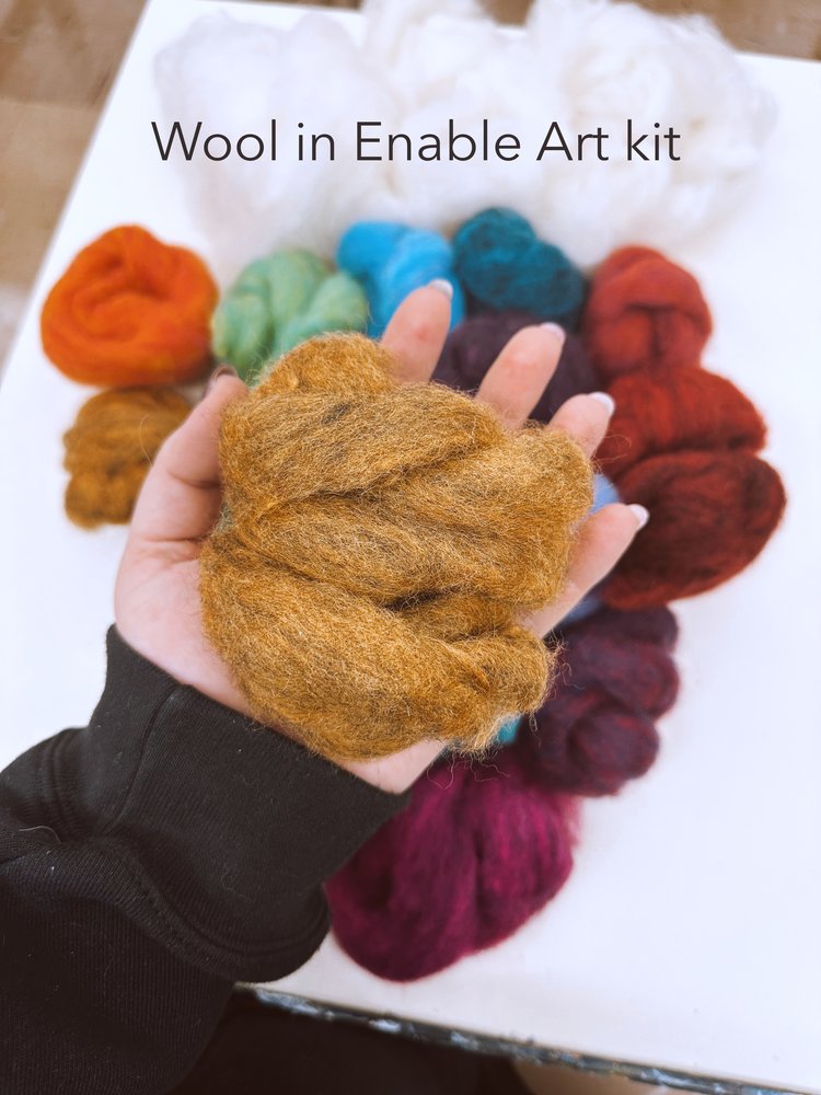 Needle Felting Starter Kit,40 Colours Wool Roving Set and Needle Felting  Tool, Wool Painting Kit, Wool Felting Kit for Beginners Adults DIY Felting