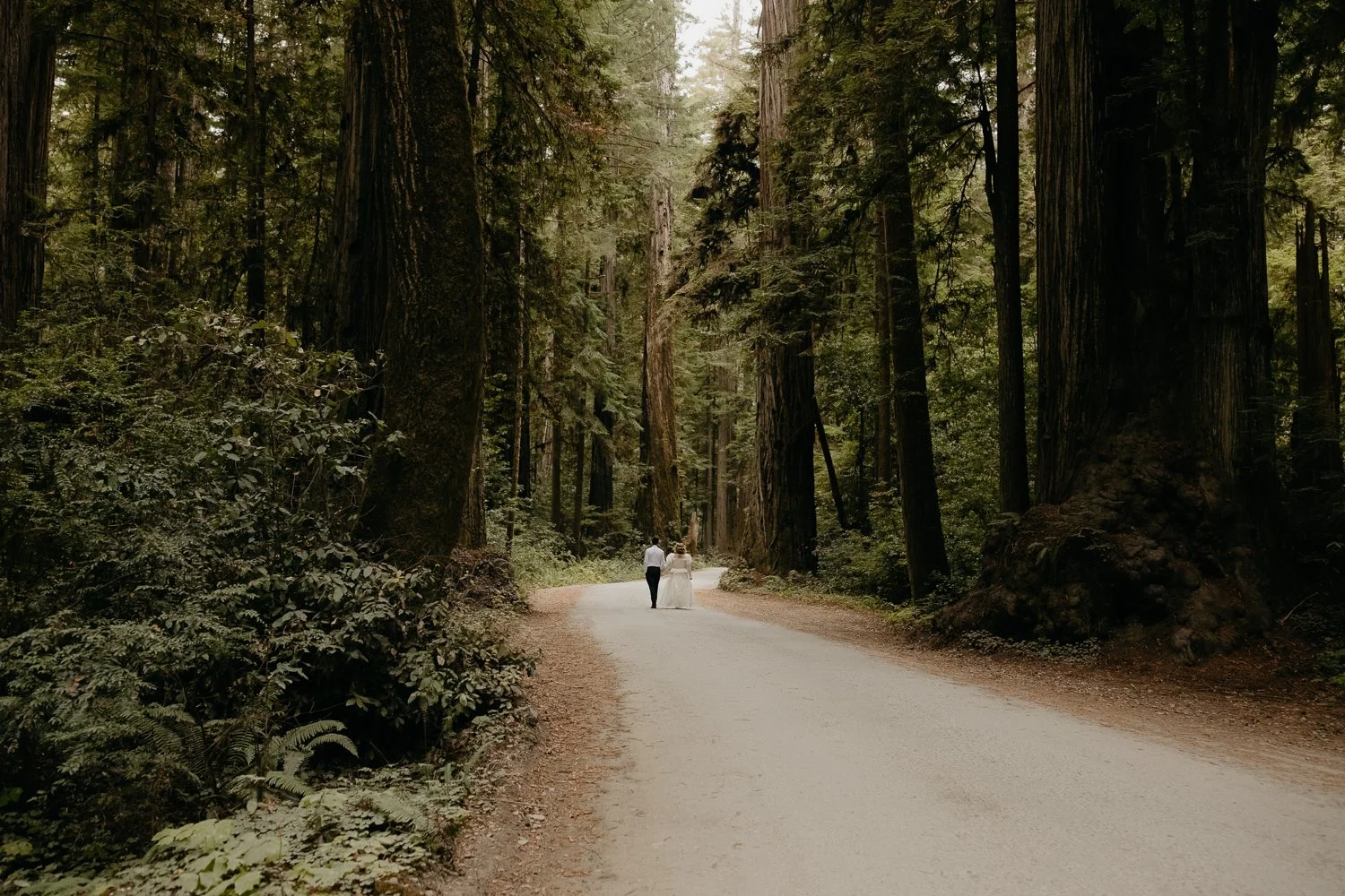Couple walking through Jedediah Smith Redwoods State Park during their elopement