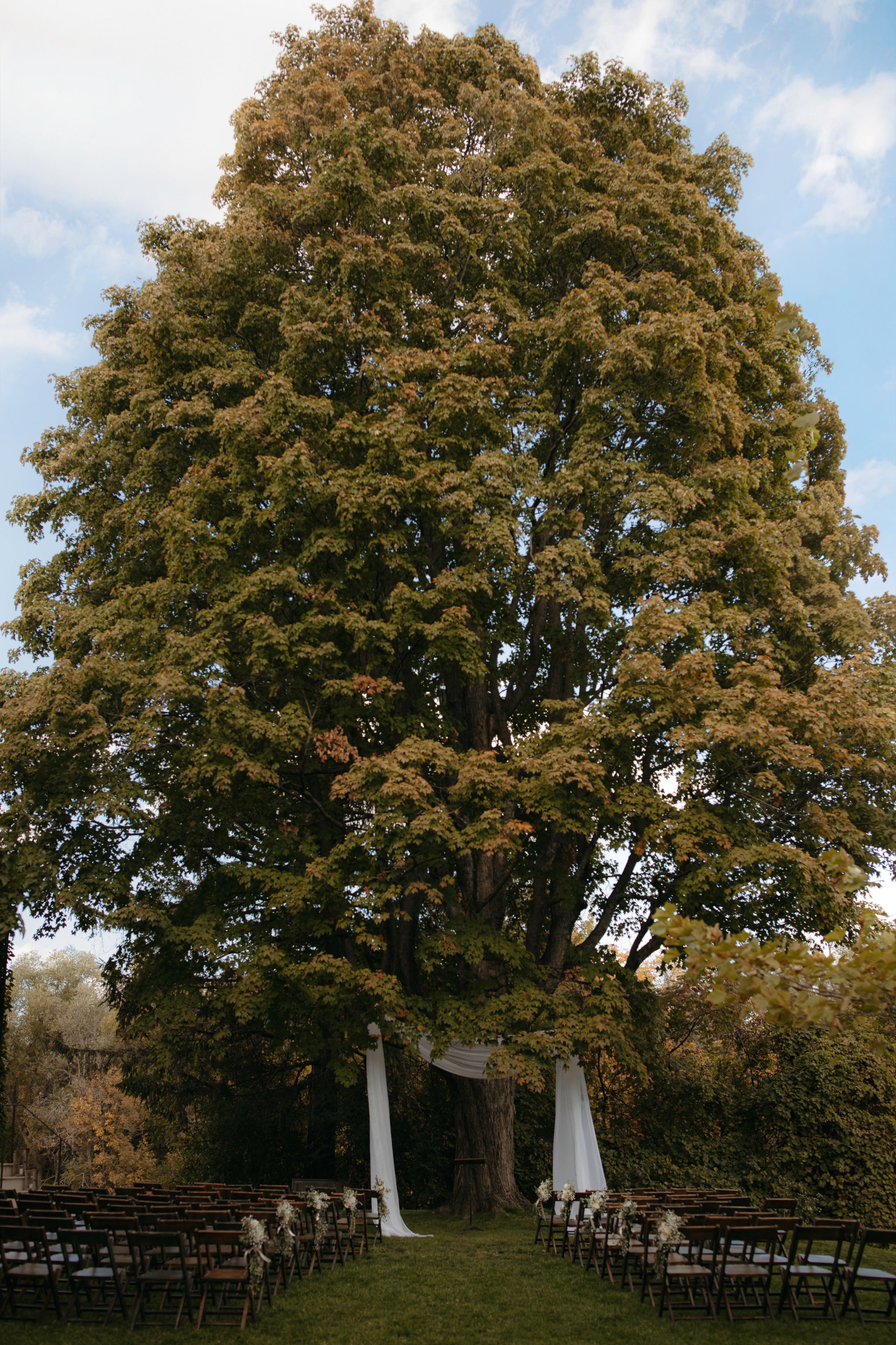 Outdoor ceremony setup beneath a large oak tree at Windrift Hall, a historic Hudson Valley wedding venue