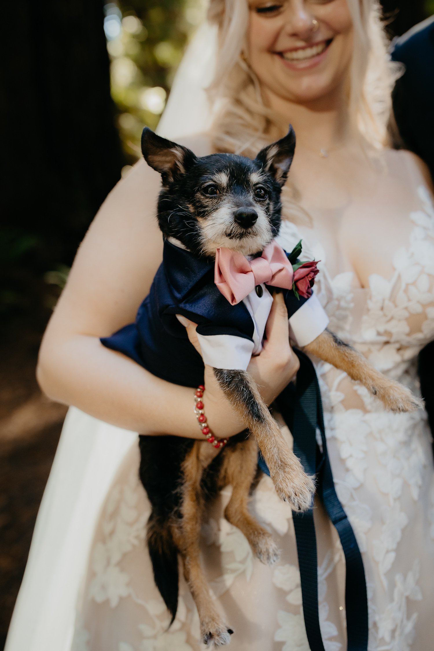prairie-creek-redwoods-dog-in-tuxedo-wedding-portrait.jpg