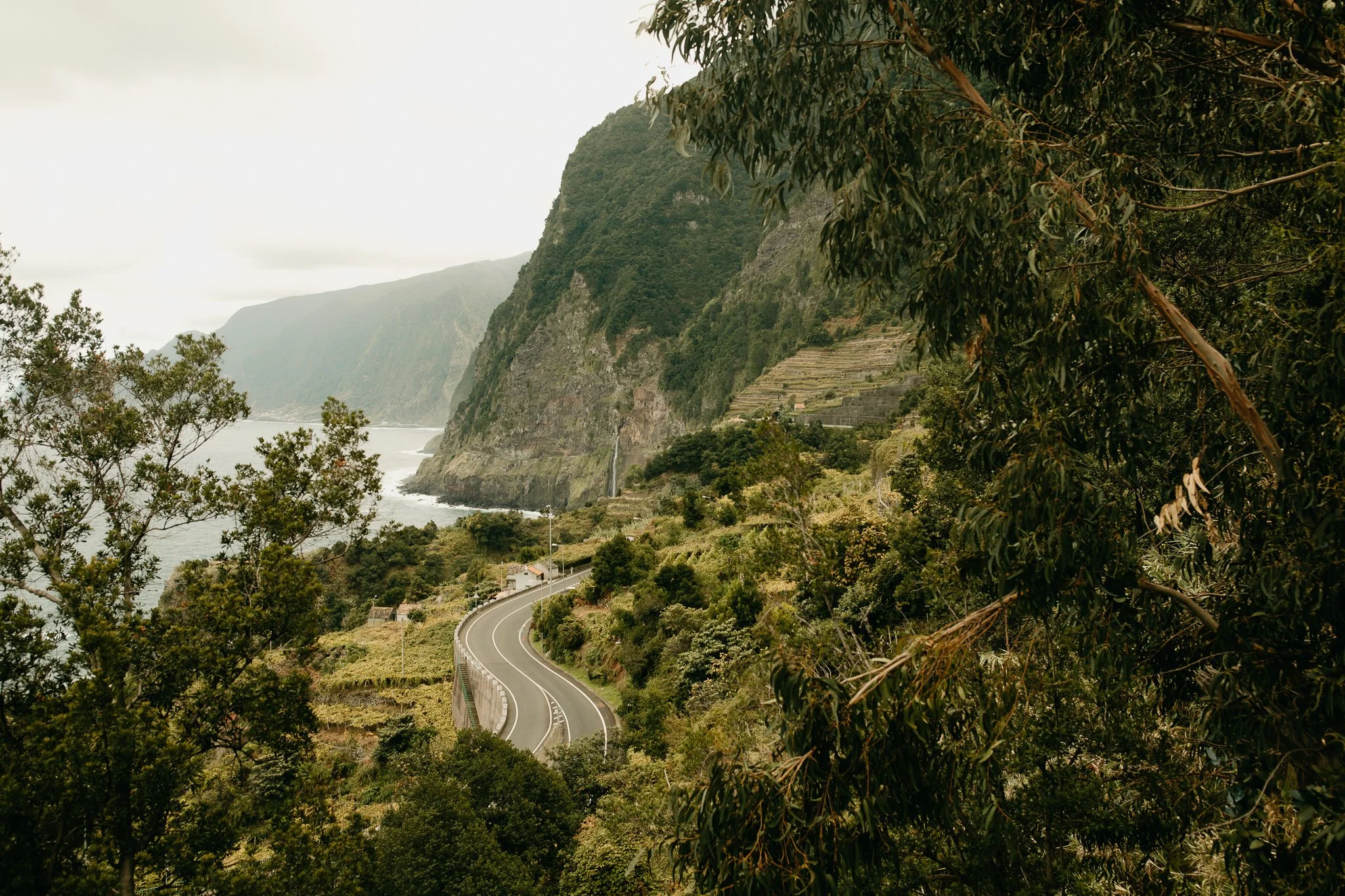 Winding road through lush green cliffs overlooking the ocean on a remote island