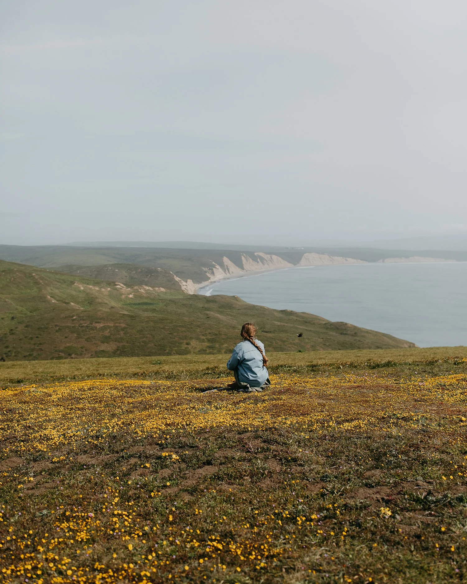 Person sitting in a field of yellow wildflowers overlooking Point Reyes National Seashore