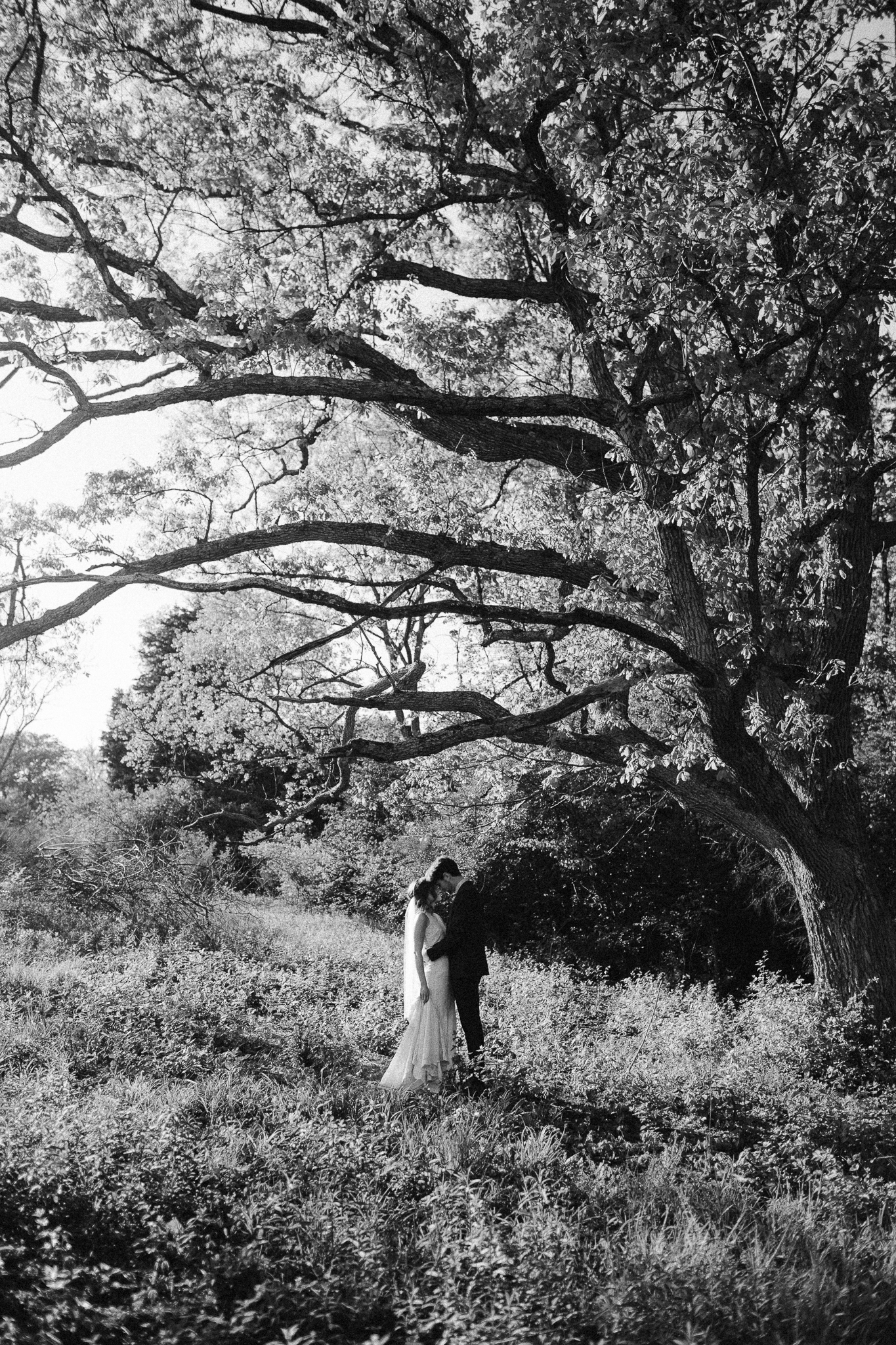 eastlyn bright intimate ohio backyard bohemian forest wedding photographer -99.jpg