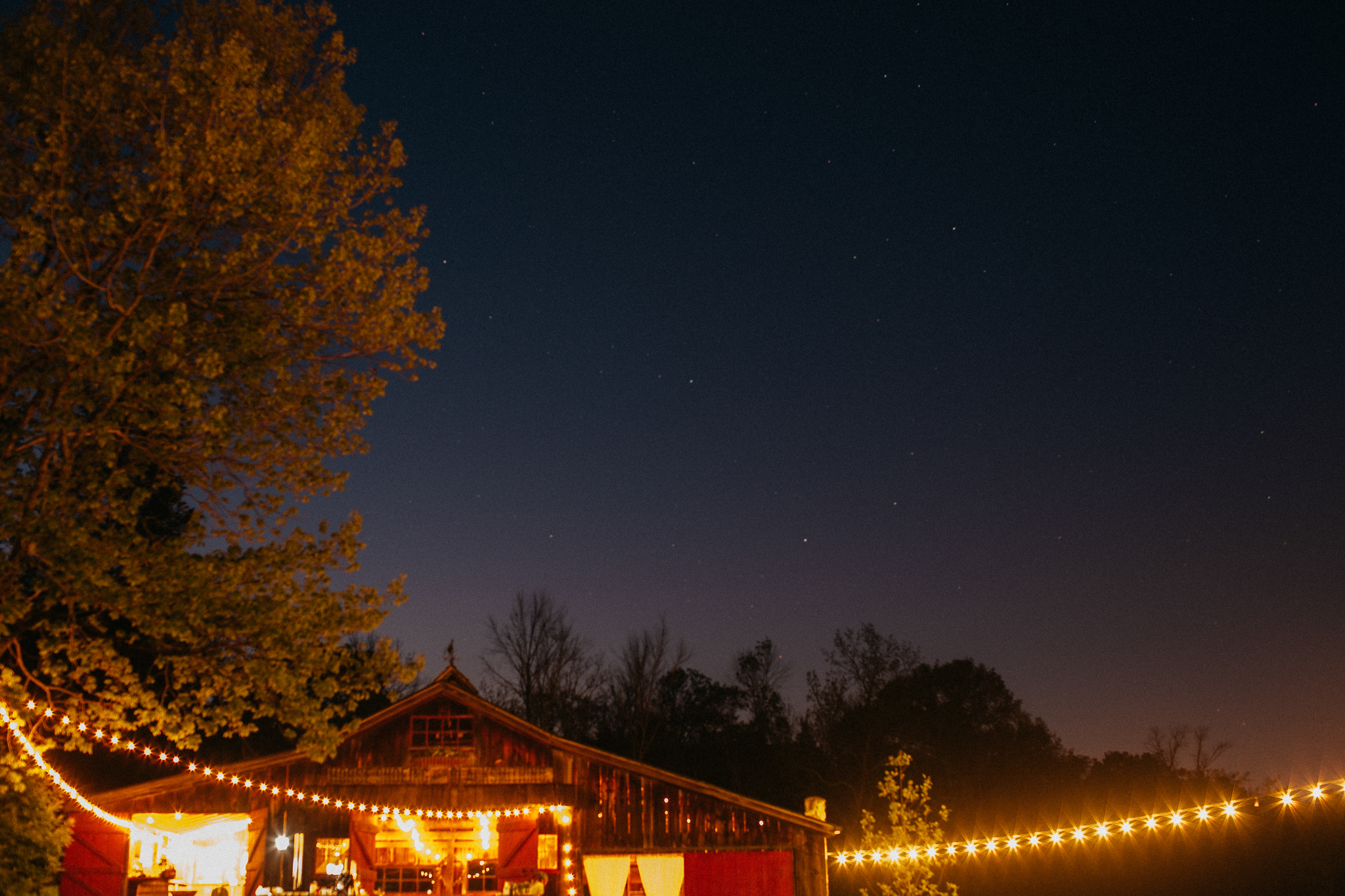 eastlyn bright intimate ohio backyard bohemian forest wedding photographer -223.jpg