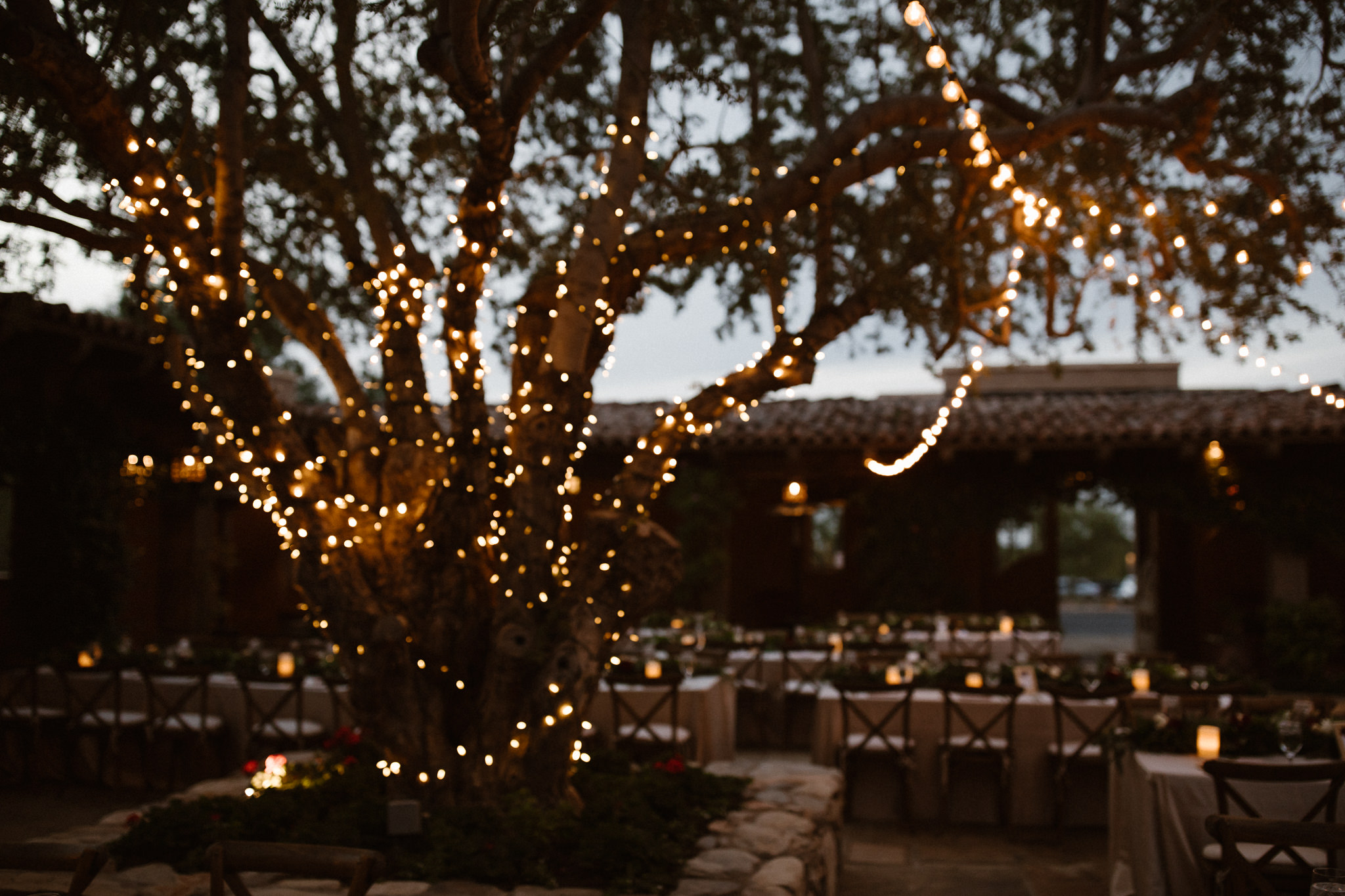 eastlyn and joshua scottsdale wedding photographer-109.jpg