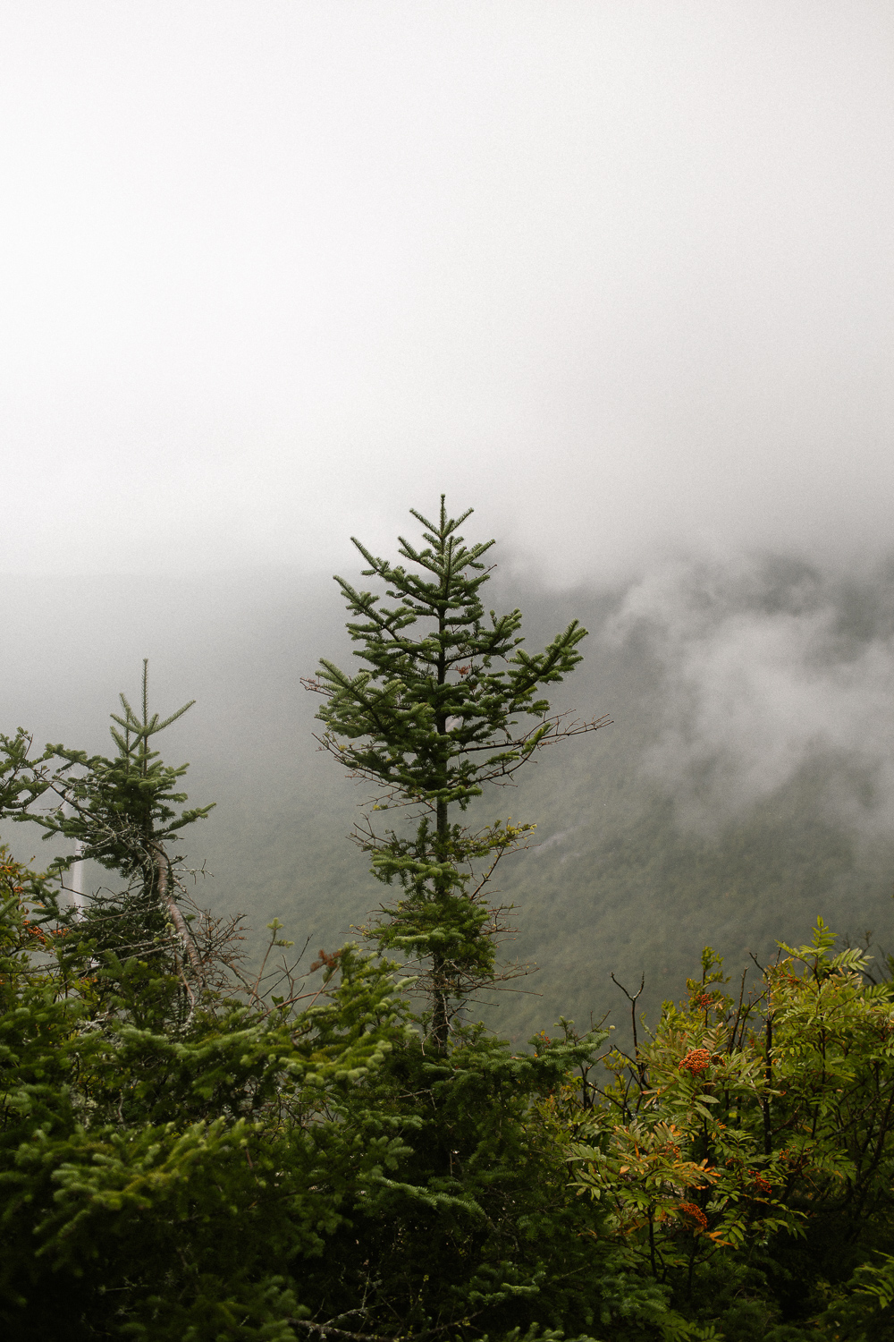 white mountains new hampshire elopement photographer-20.jpg