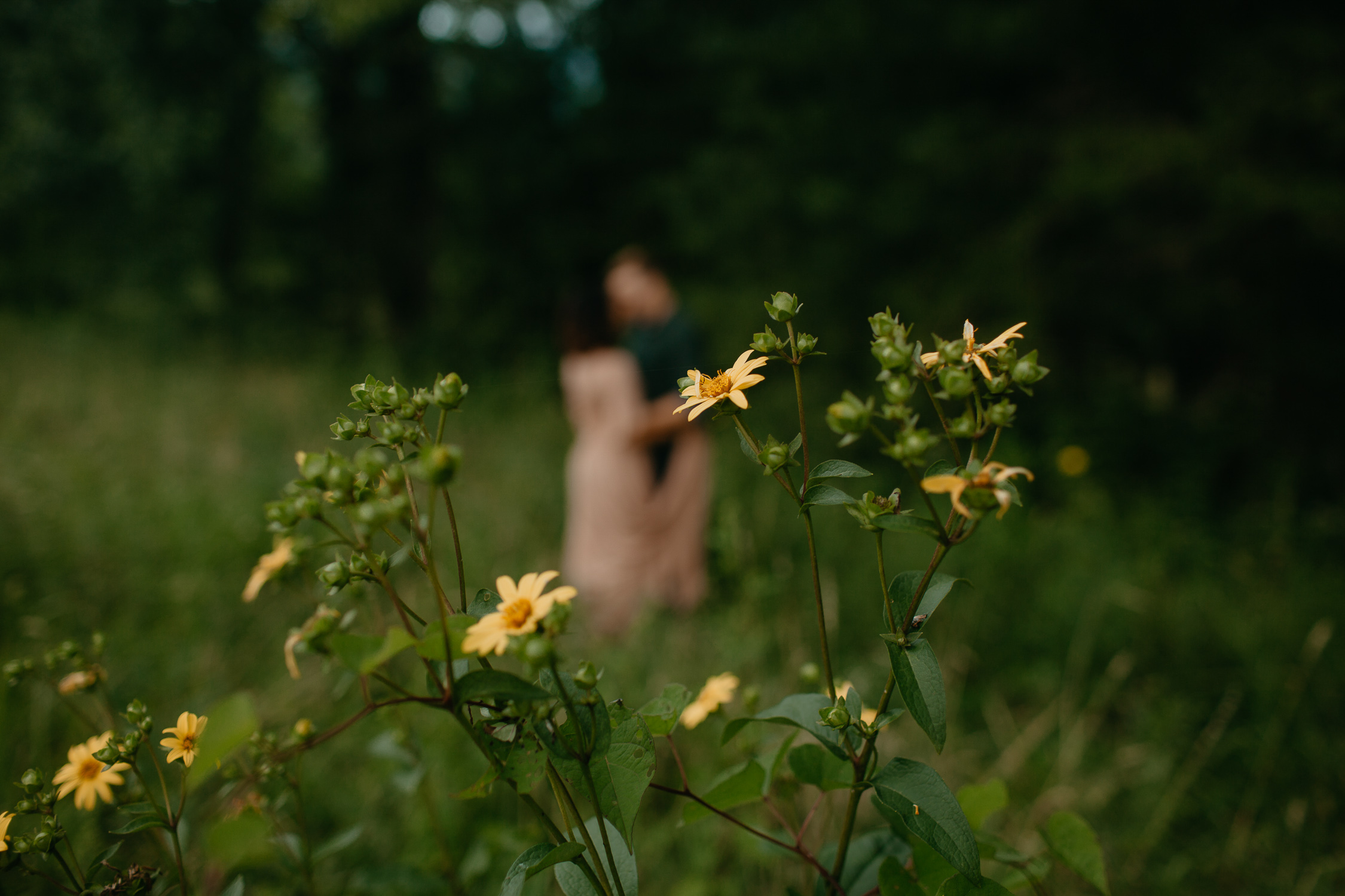 ariannamtorres and isaac engagement session at cades cove smoky mountains elopement-51.jpg