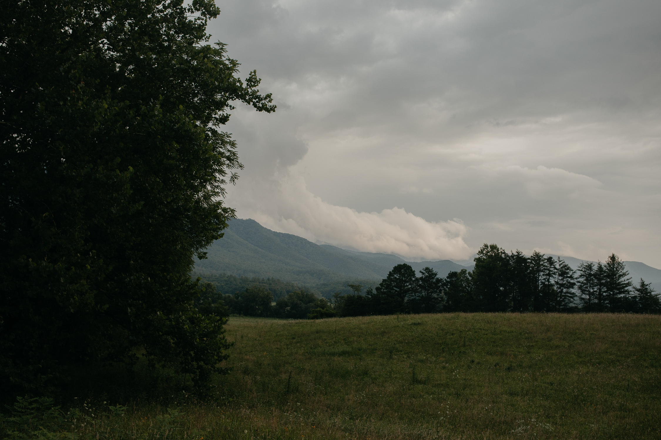 ariannamtorres and isaac engagement session at cades cove smoky mountains elopement-82.jpg