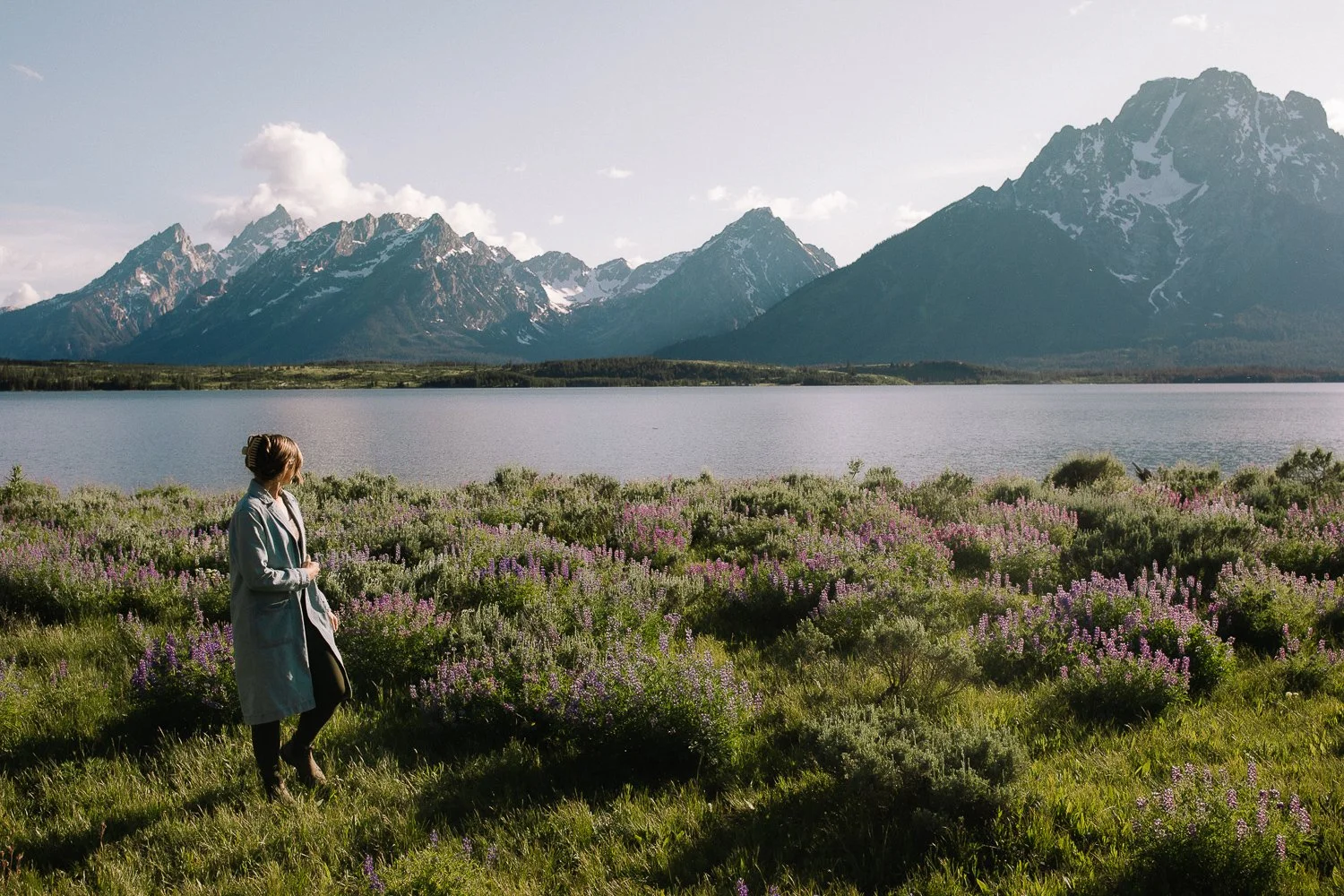 Wildflowers and mountain views near Jackson Hole with the Teton Range in the distance