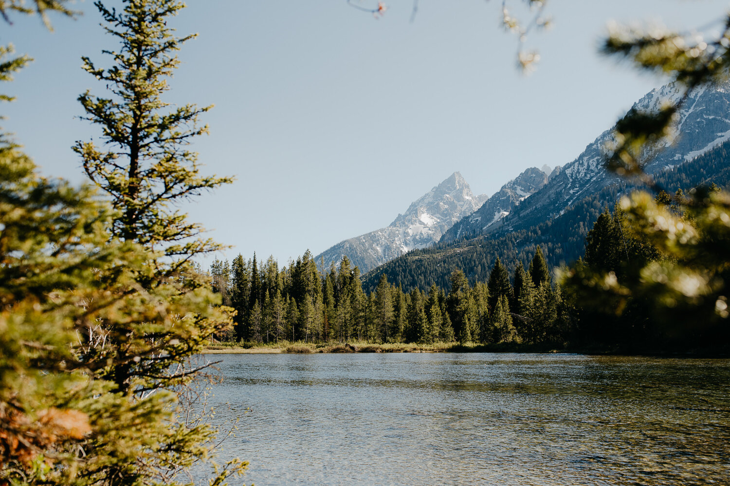 GTNP Engagement Pictures Canoeing-90.jpg