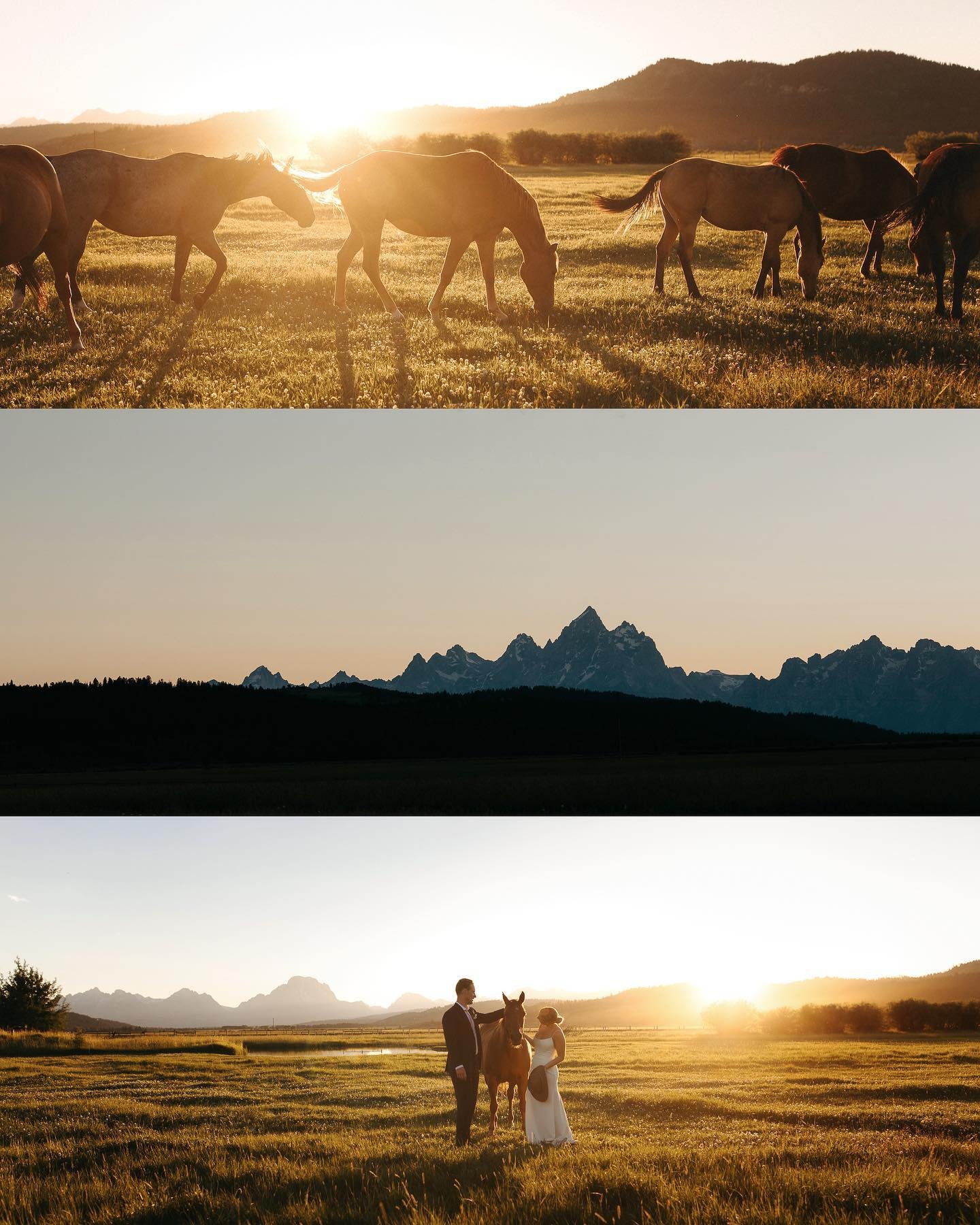This wedding at @diamondcrossranch will always hold a special place in our hearts. The beauty of this land, the grazing horses, and Grand Tetons, made the perfect backdrop for Paige and Sam&rsquo;s wedding story. Heartfelt emotions, sincere love and 