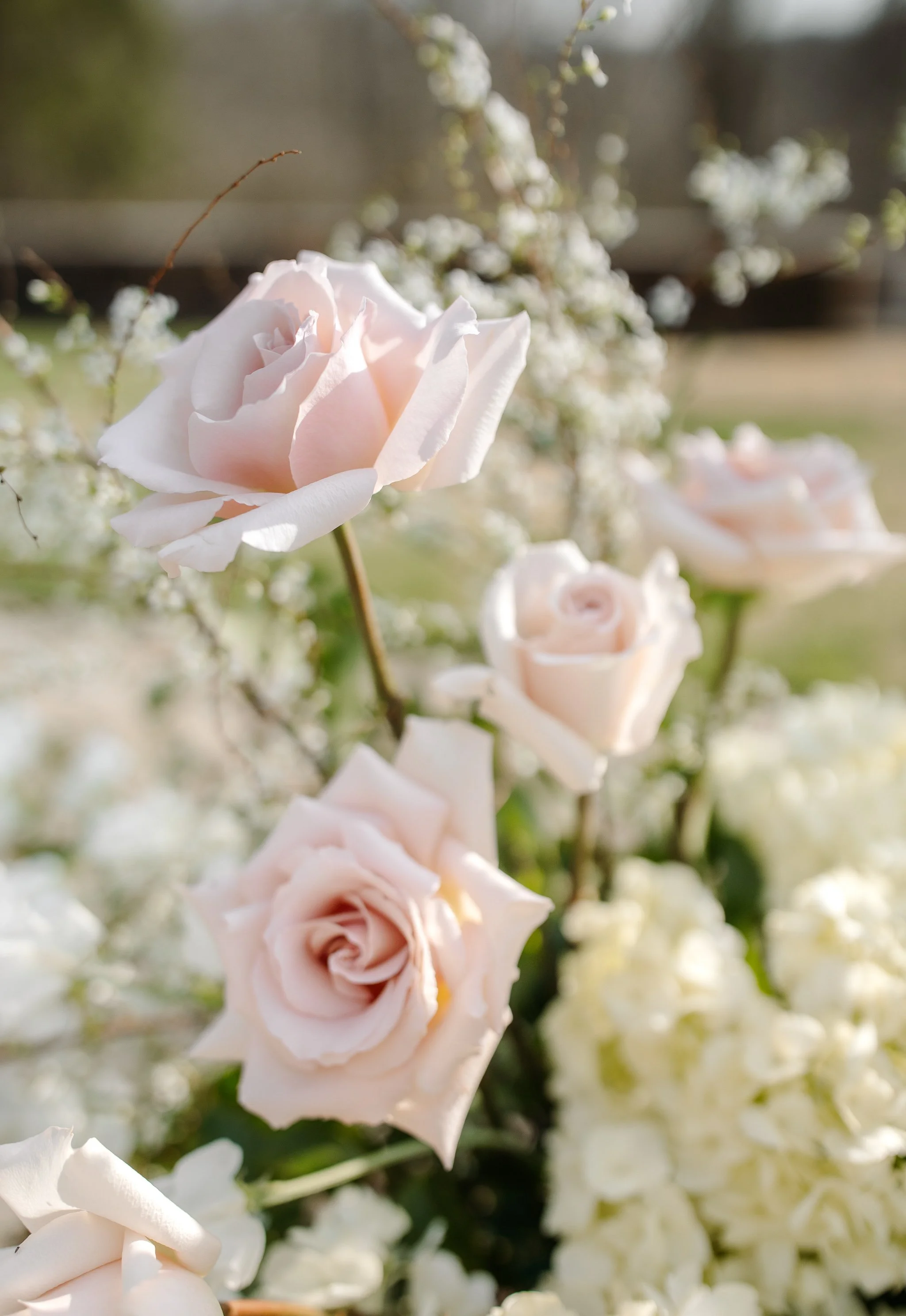 Close-up of blush rose in ceremony floral arrangement