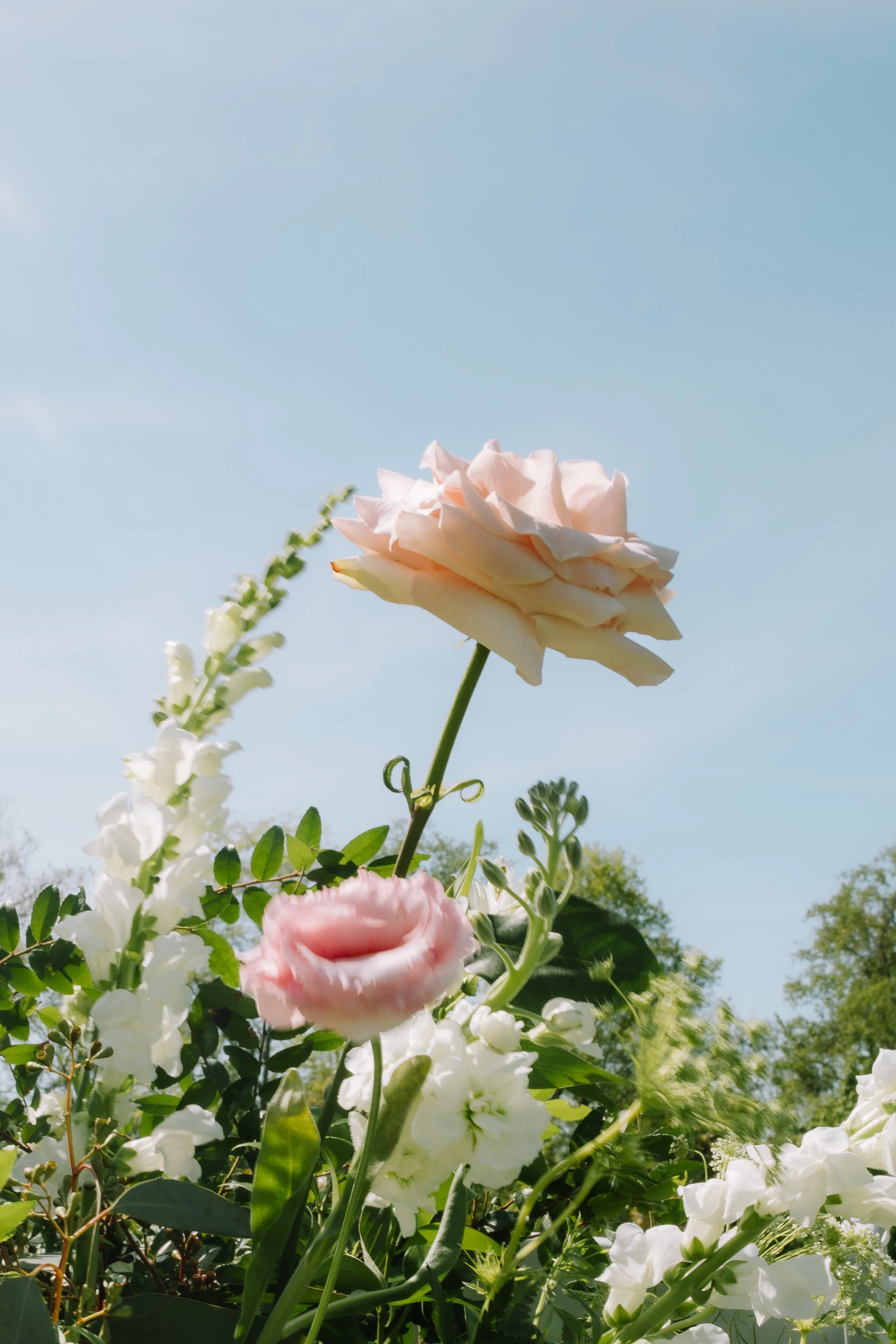 Peach garden rose and white florals arranged for an outdoor spring ceremony at Jorgensen Farm The Gardens in Columbus, Ohio.