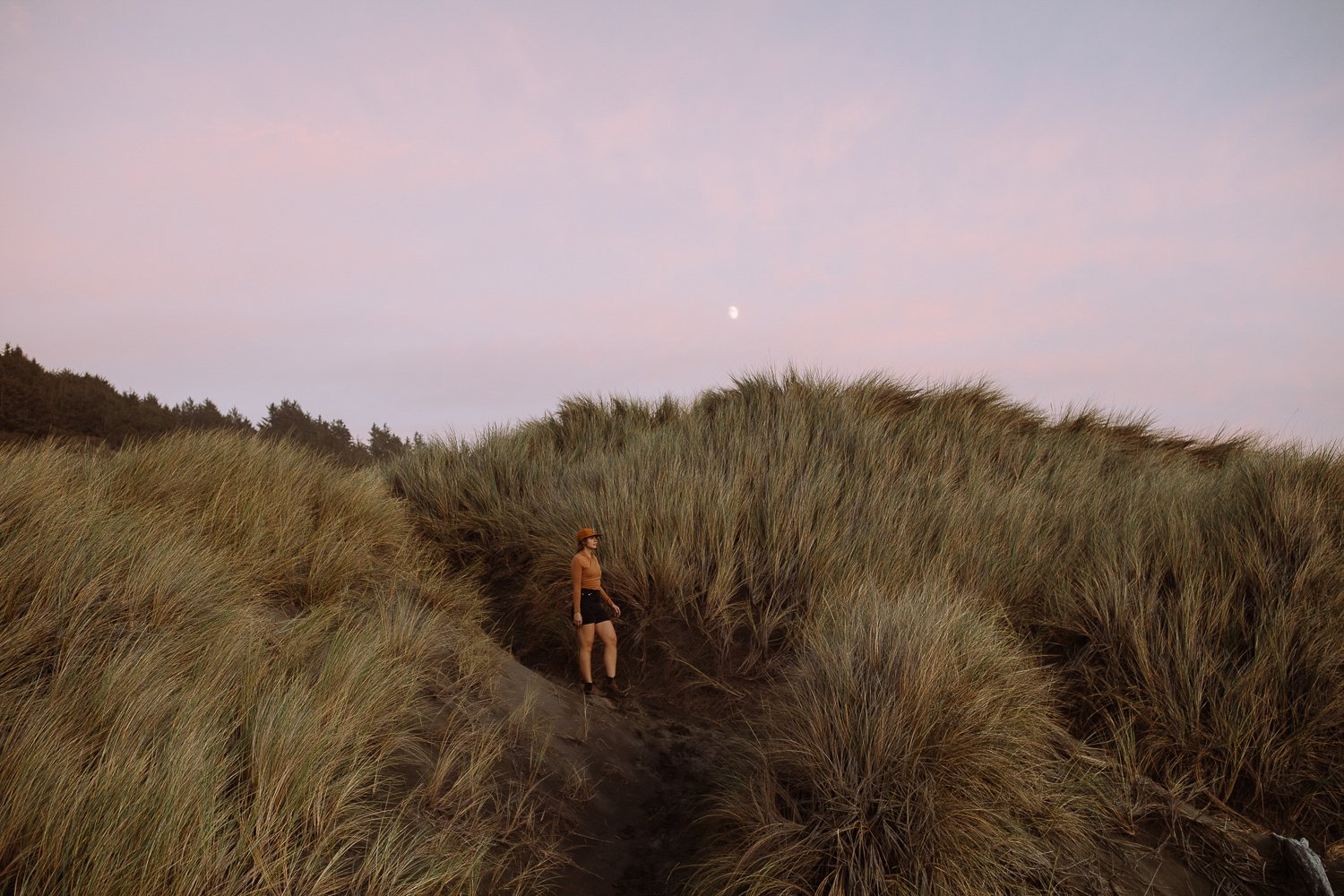 Person walking through grassy dunes at dusk on the southern Oregon coast