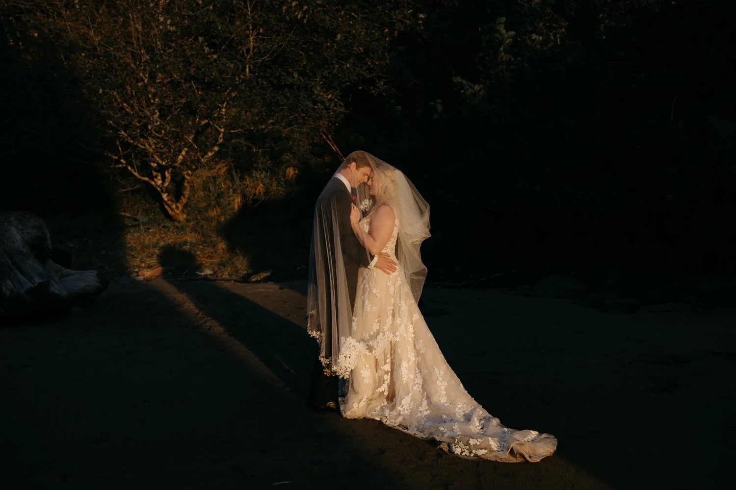 Couple embracing in a dark redwood forest during their elopement
