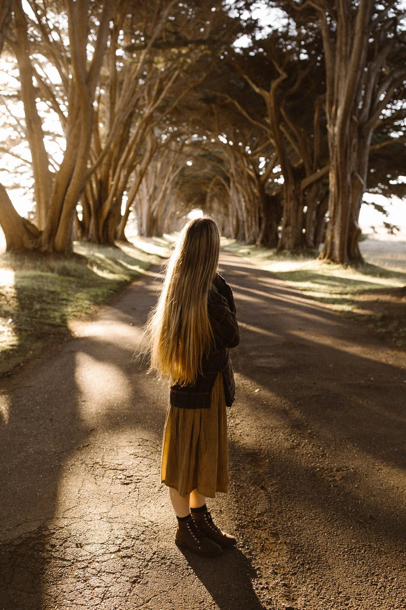 Person standing in the Cypress Tree Tunnel at sunrise golden hour in Point Reyes National Seashore