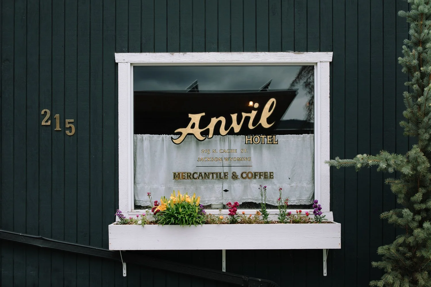 Exterior window and sign for Anvil Hotel Mercantile and Coffee in downtown Jackson Hole