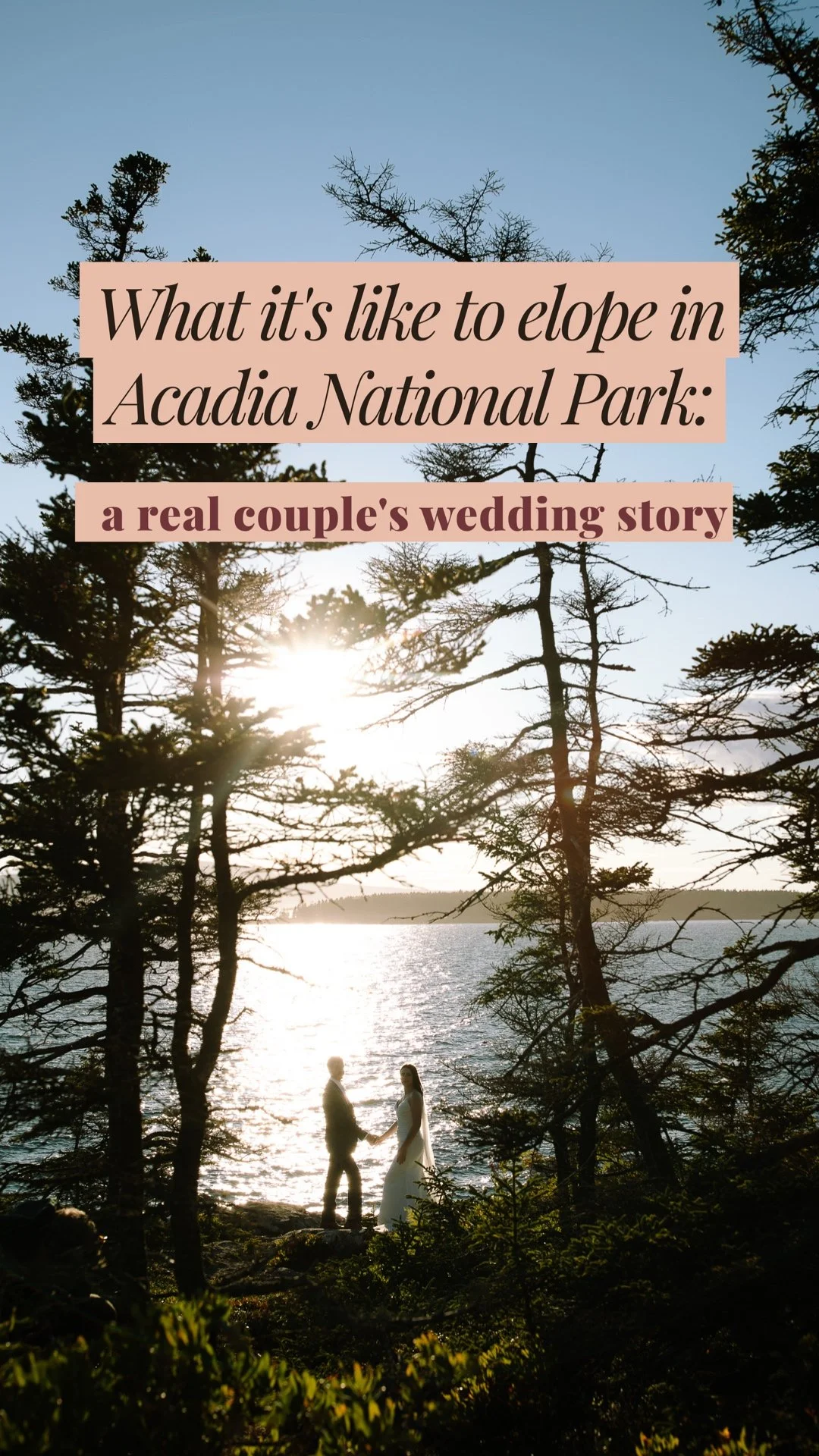 Silhouetted couple holding hands between evergreen trees overlooking the ocean in Acadia National Park.