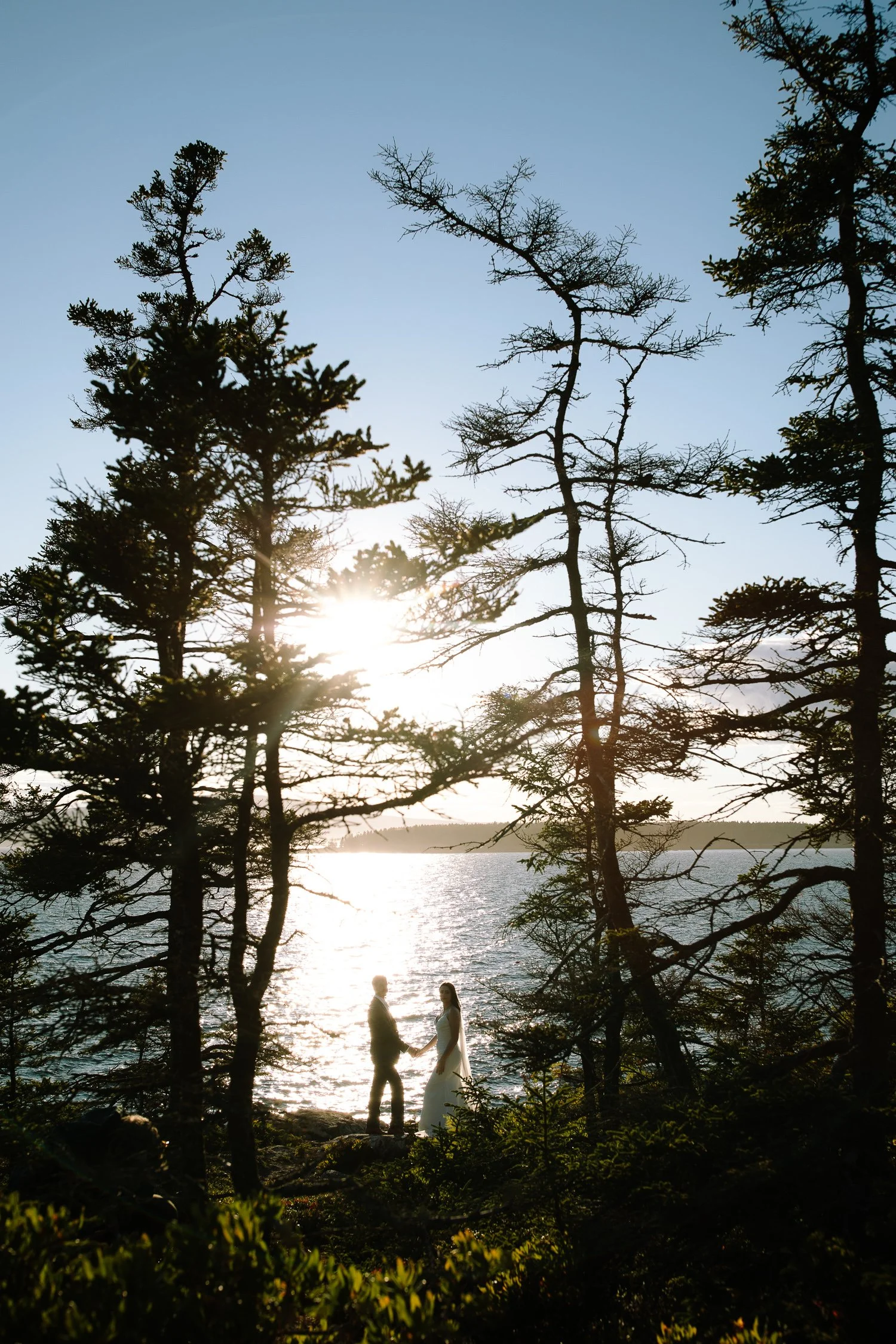 Bride and groom standing together beneath coastal trees at sunset during an Acadia National Park elopement