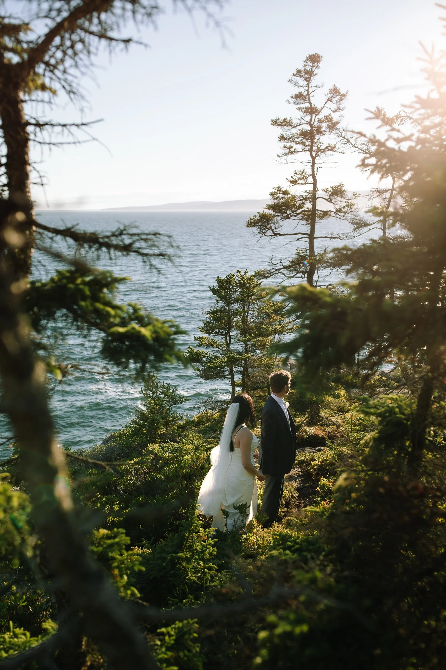 Bride and groom standing together beneath coastal trees overlooking the ocean during an Acadia National Park elopement