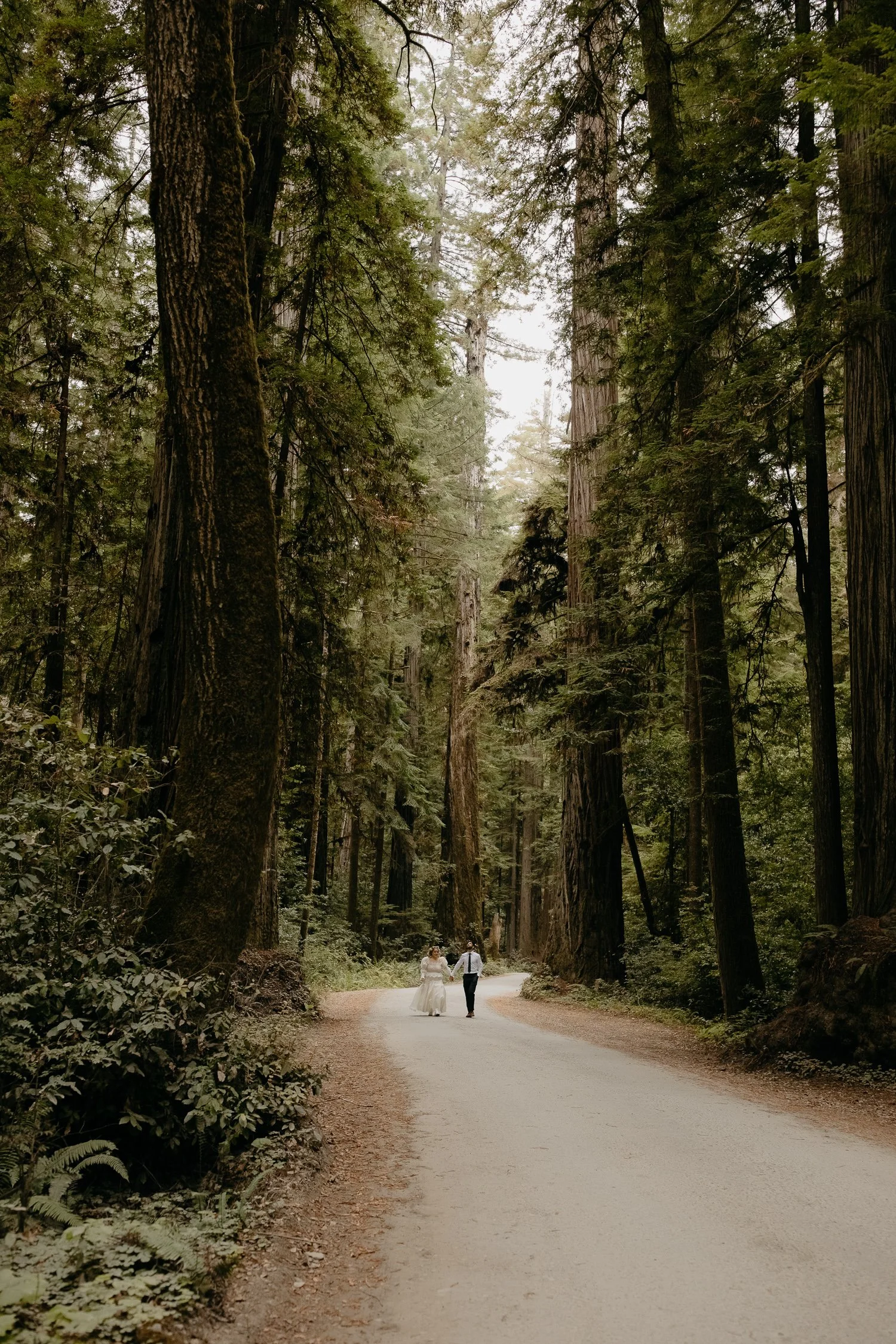 Couple walking down a forest road in Redwood National and State Parks