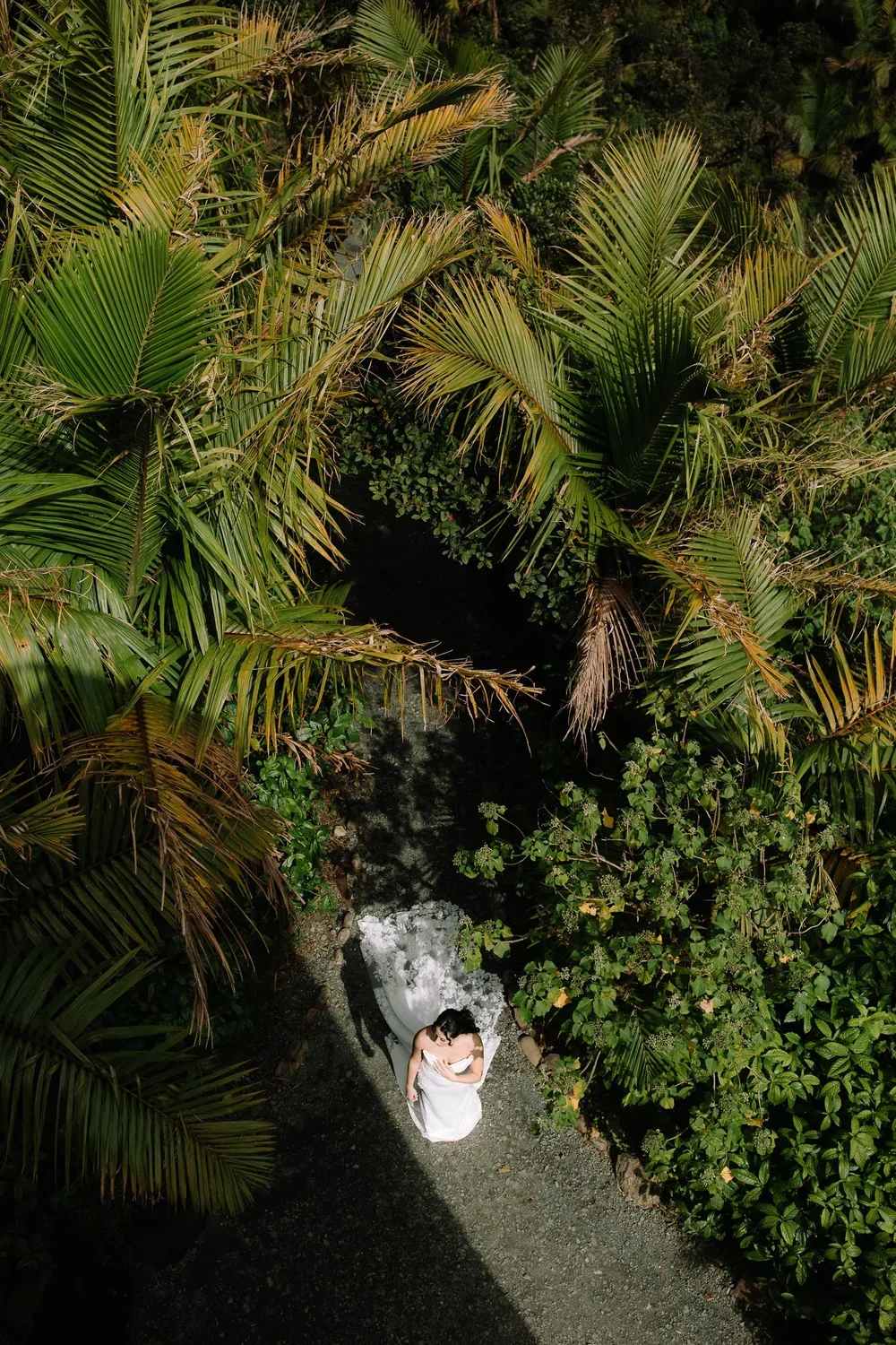 Overhead view of a bride standing beneath palm trees during a Puerto Rico elopement