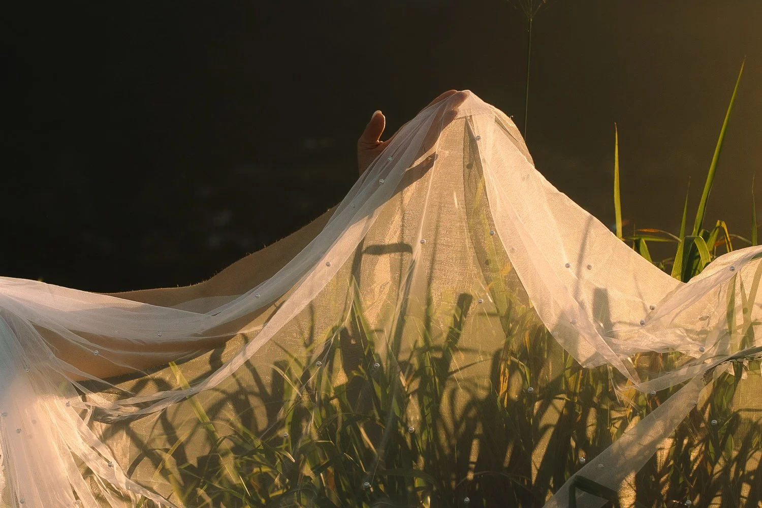 Bride’s pearl-detailed veil catching golden light in tall grass during a mountain elopement in Puerto Rico