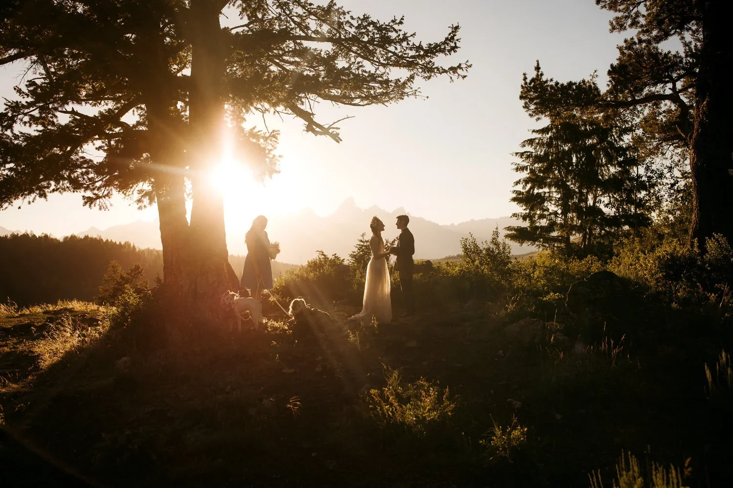 Couple exchanging vows during a sunset Wedding Tree elopement in Grand Teton National Park.