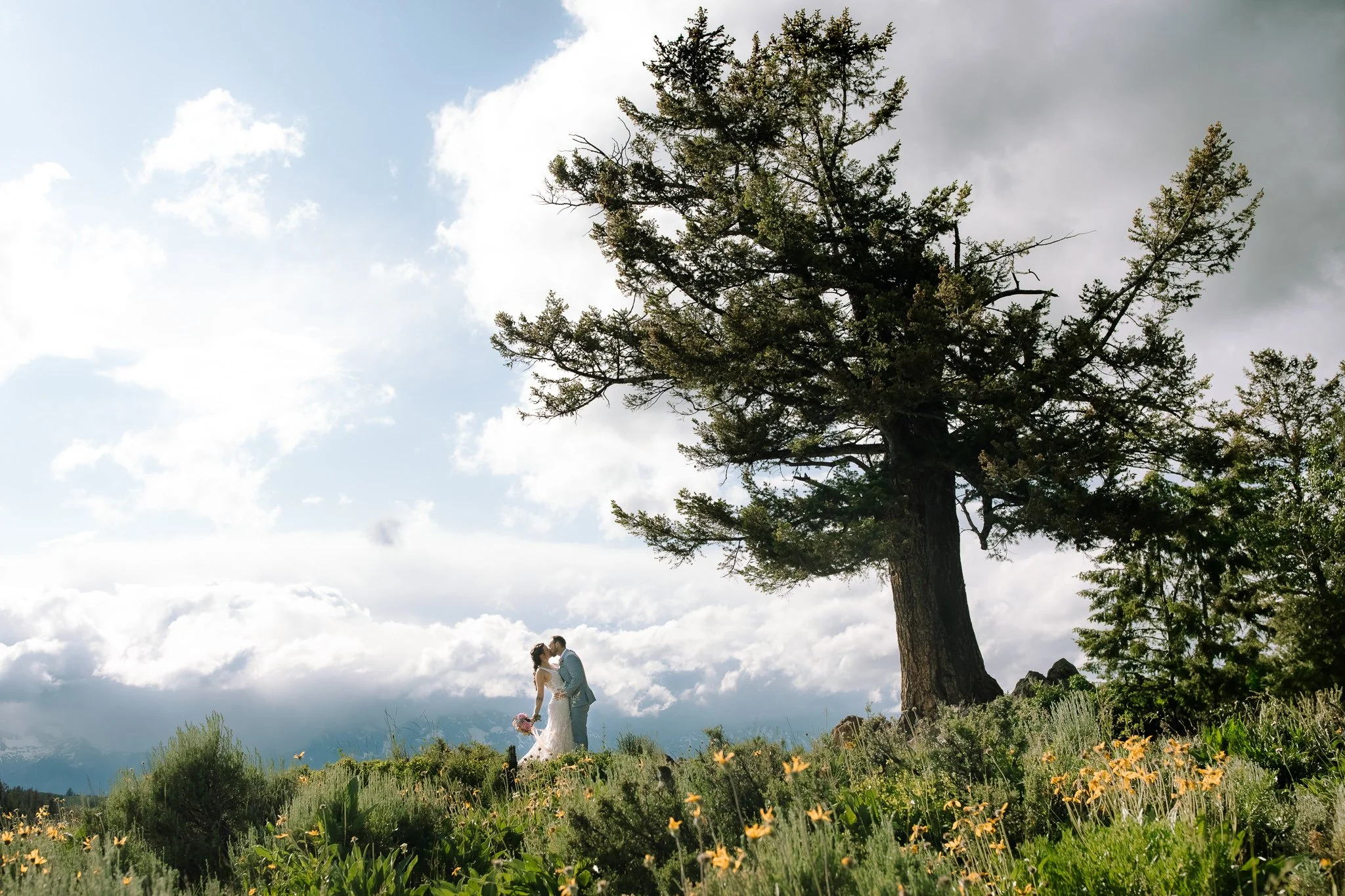 Couple standing together near a tree surrounded by wildflowers during their elopement in the Tetons
