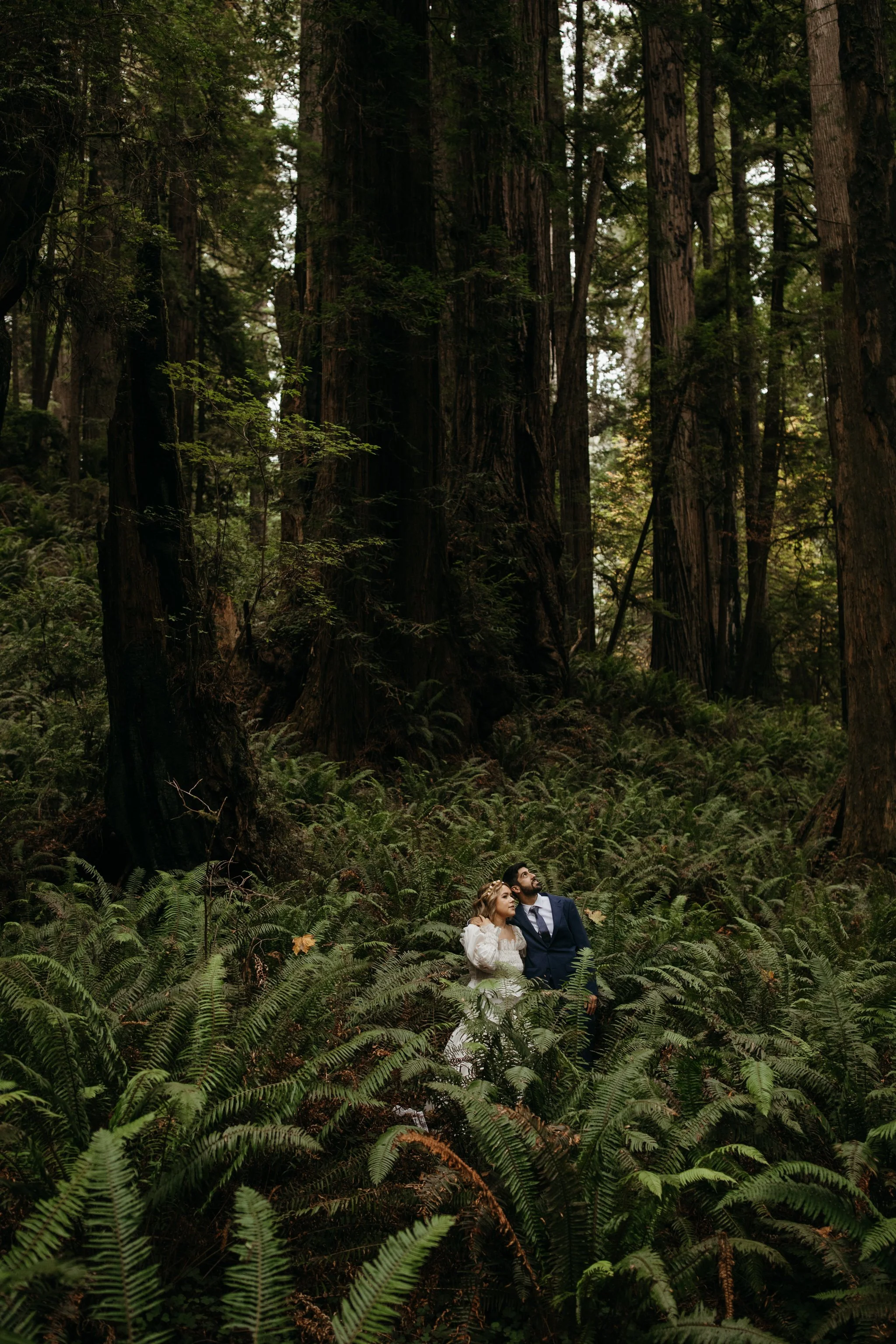 Couple standing among ferns during a Prairie Creek Redwoods elopement