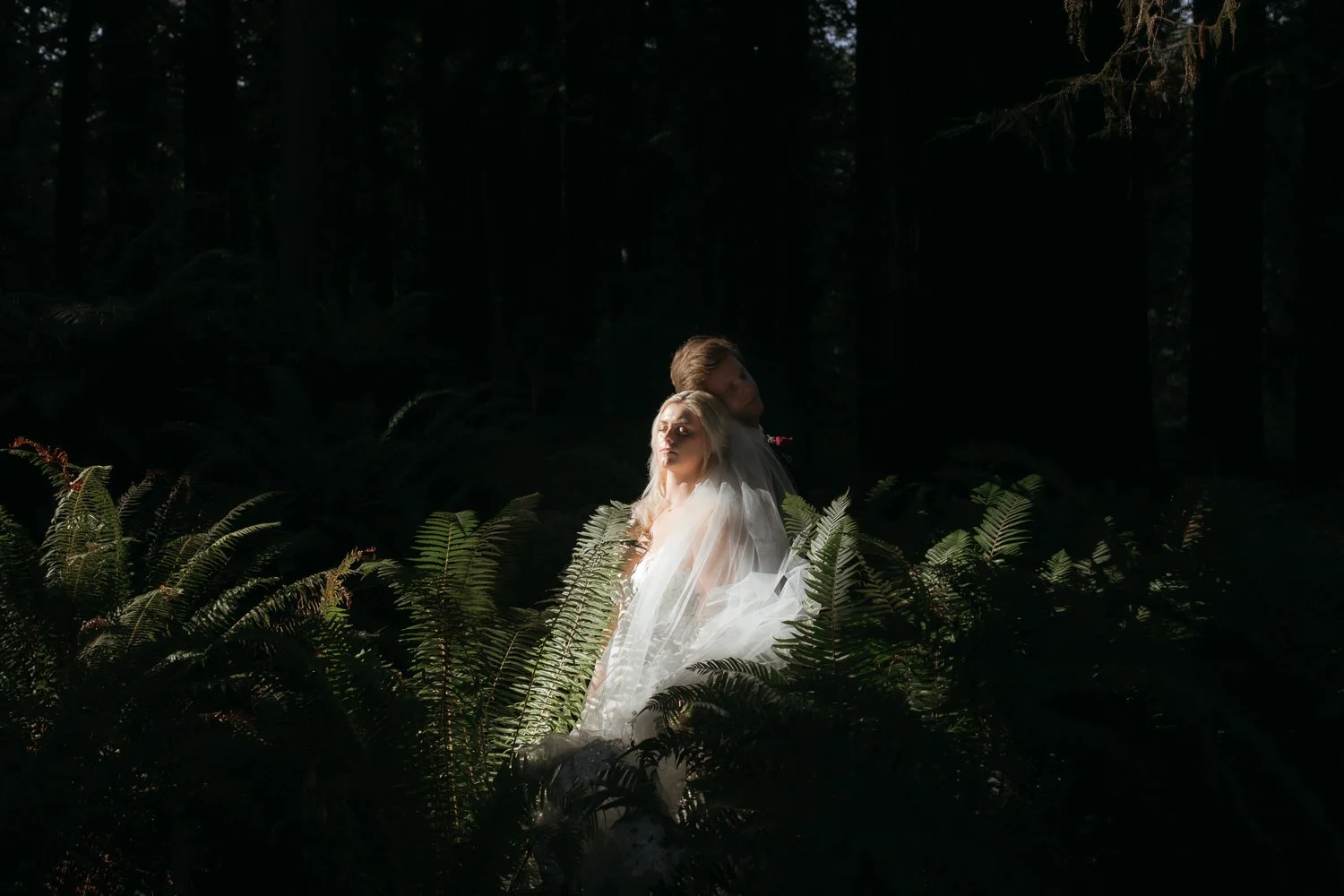 Bride and groom embraced among ferns and shadowed redwood forest