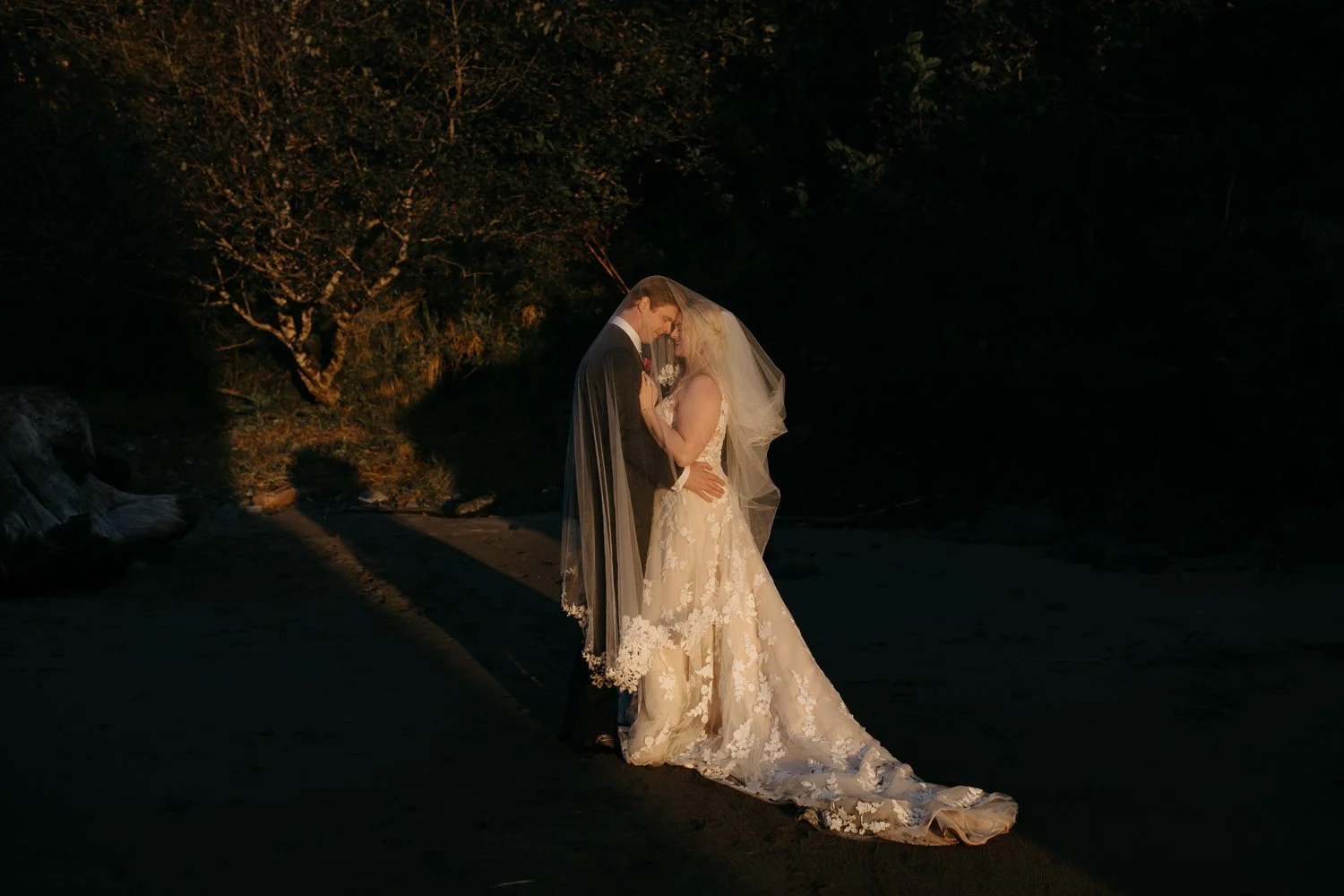 Bride and groom holding each other in dramatic sunset light at College Cove