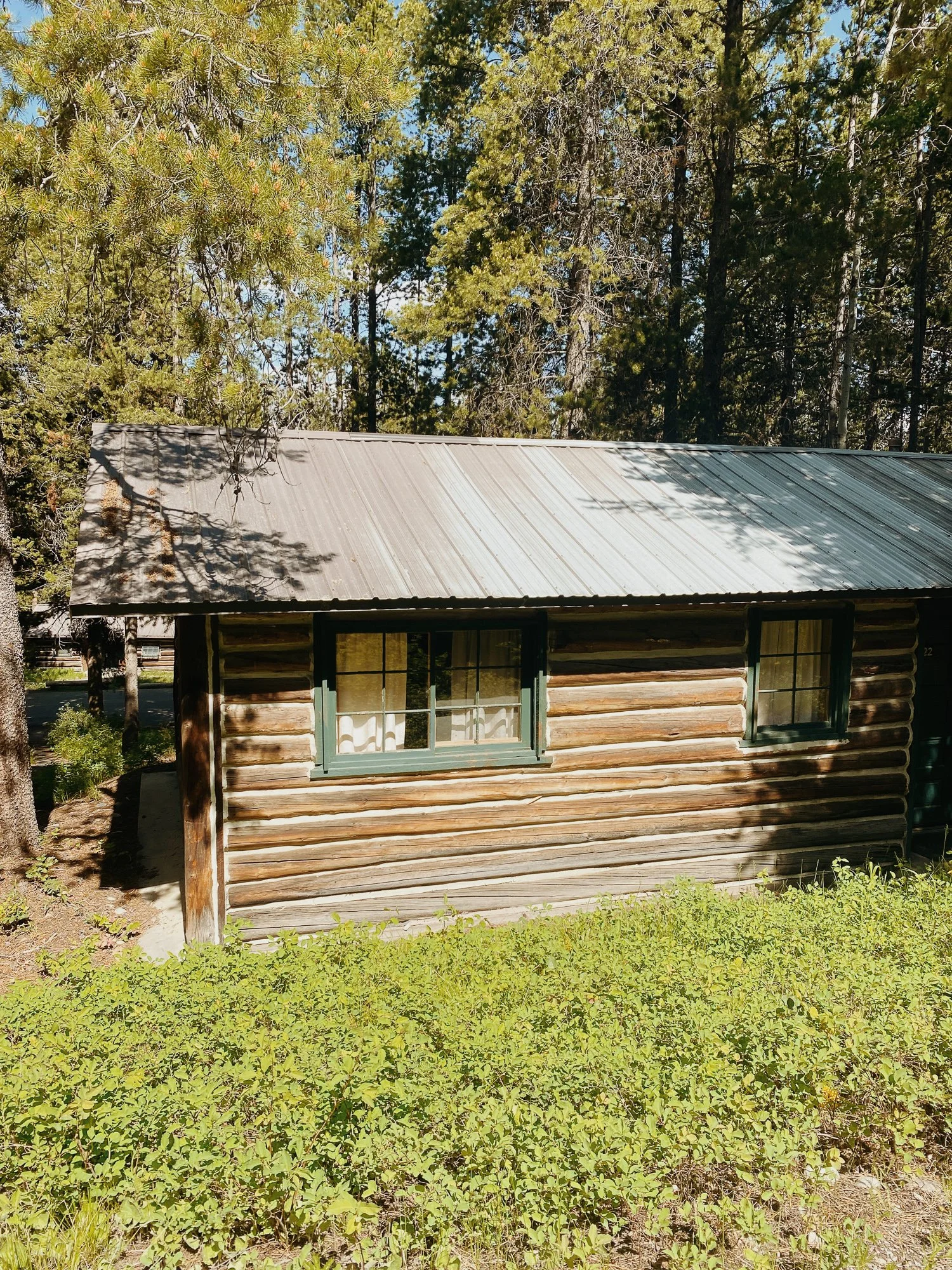 Rustic log Colter Bay Village cabin surrounded by trees in Grand Teton National Park