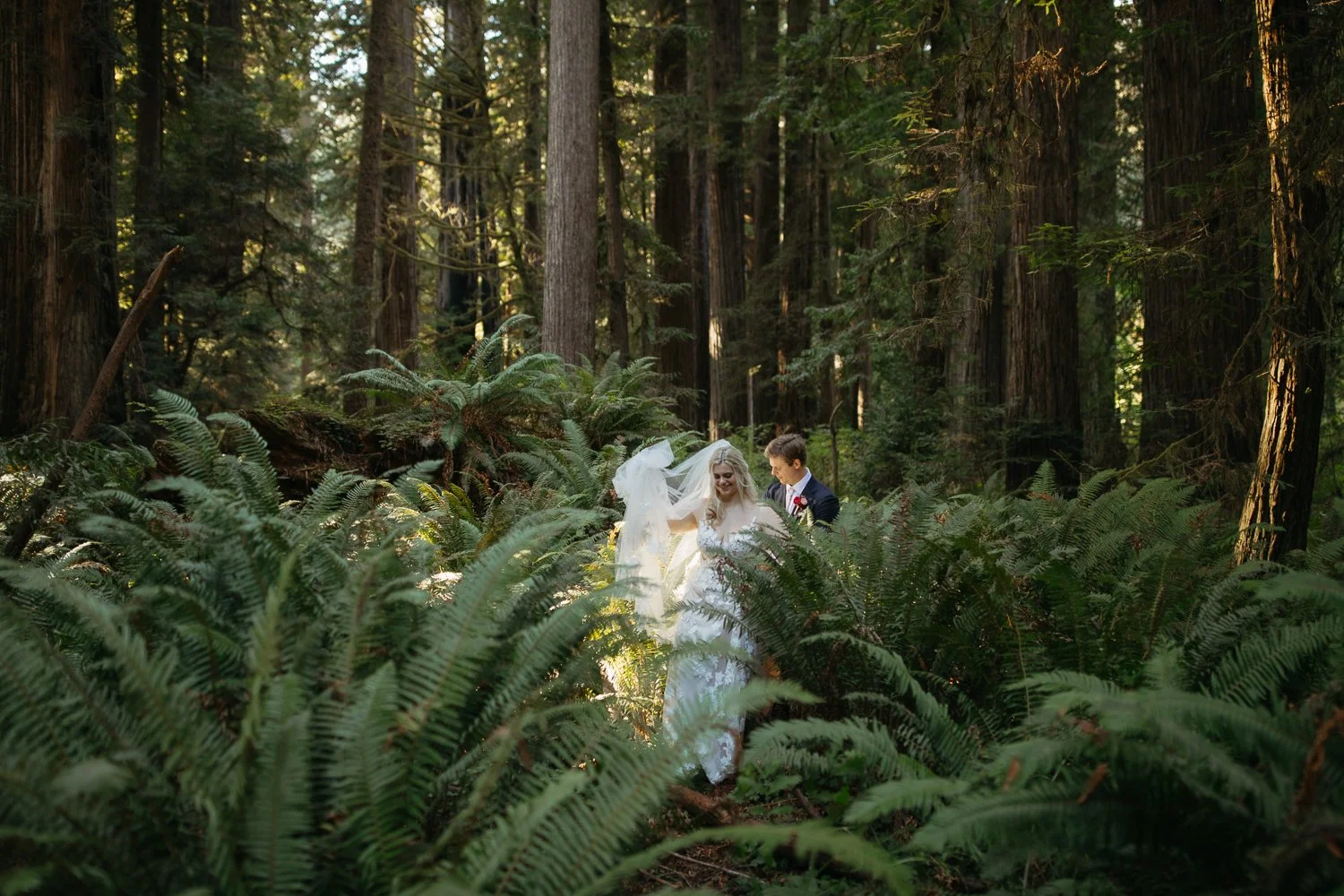 Bride and groom walking hand in hand through ferns in Prairie Creek Redwoods