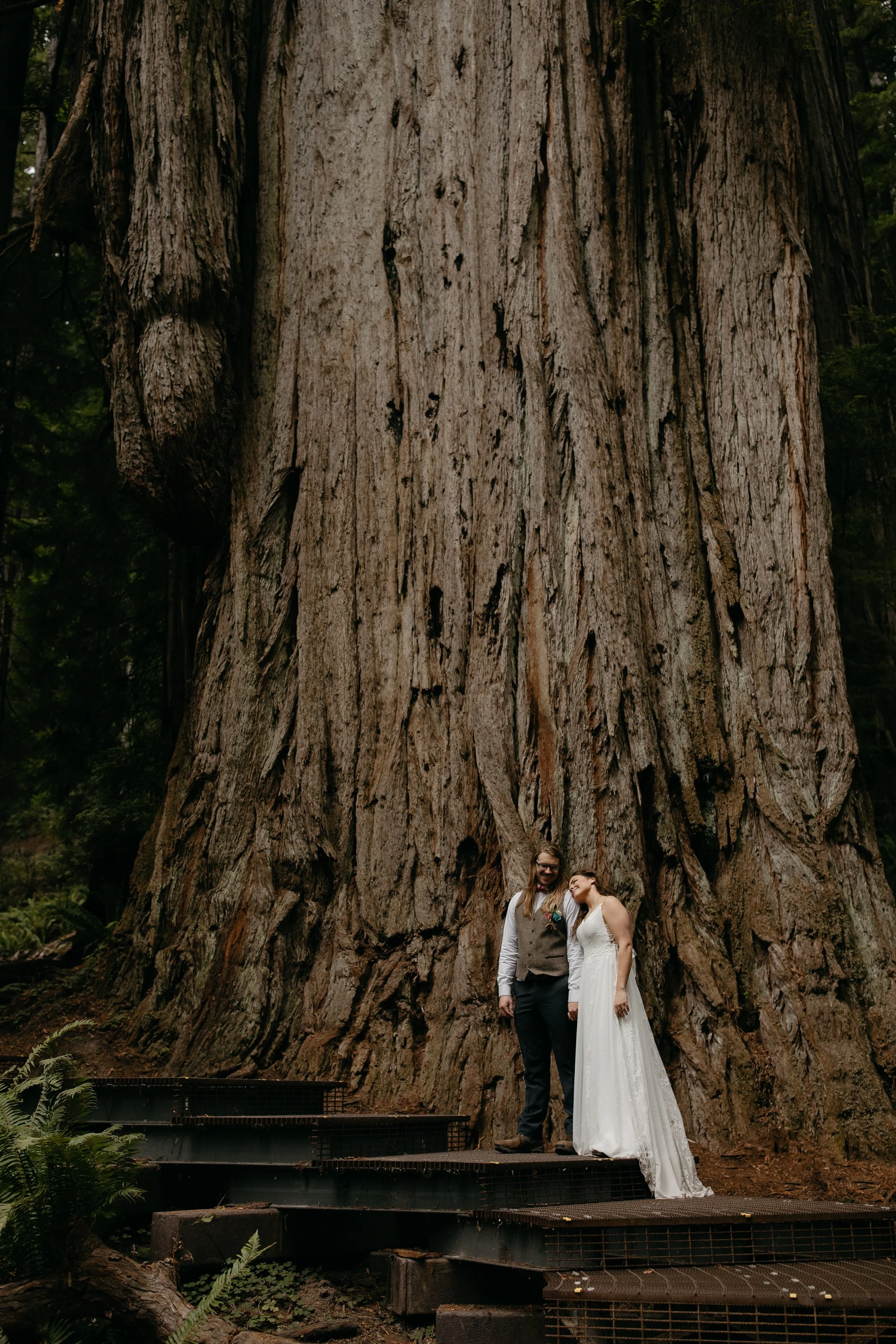 Couple standing at the base of a giant redwood tree in Jedediah Smith Redwoods State Park