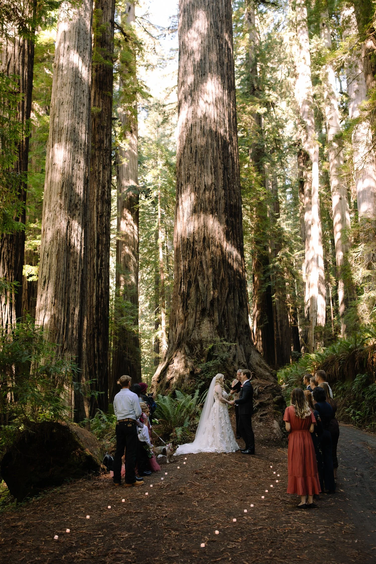 Intimate wedding ceremony with candle-lined aisle beneath redwood trees in Prairie Creek Redwoods