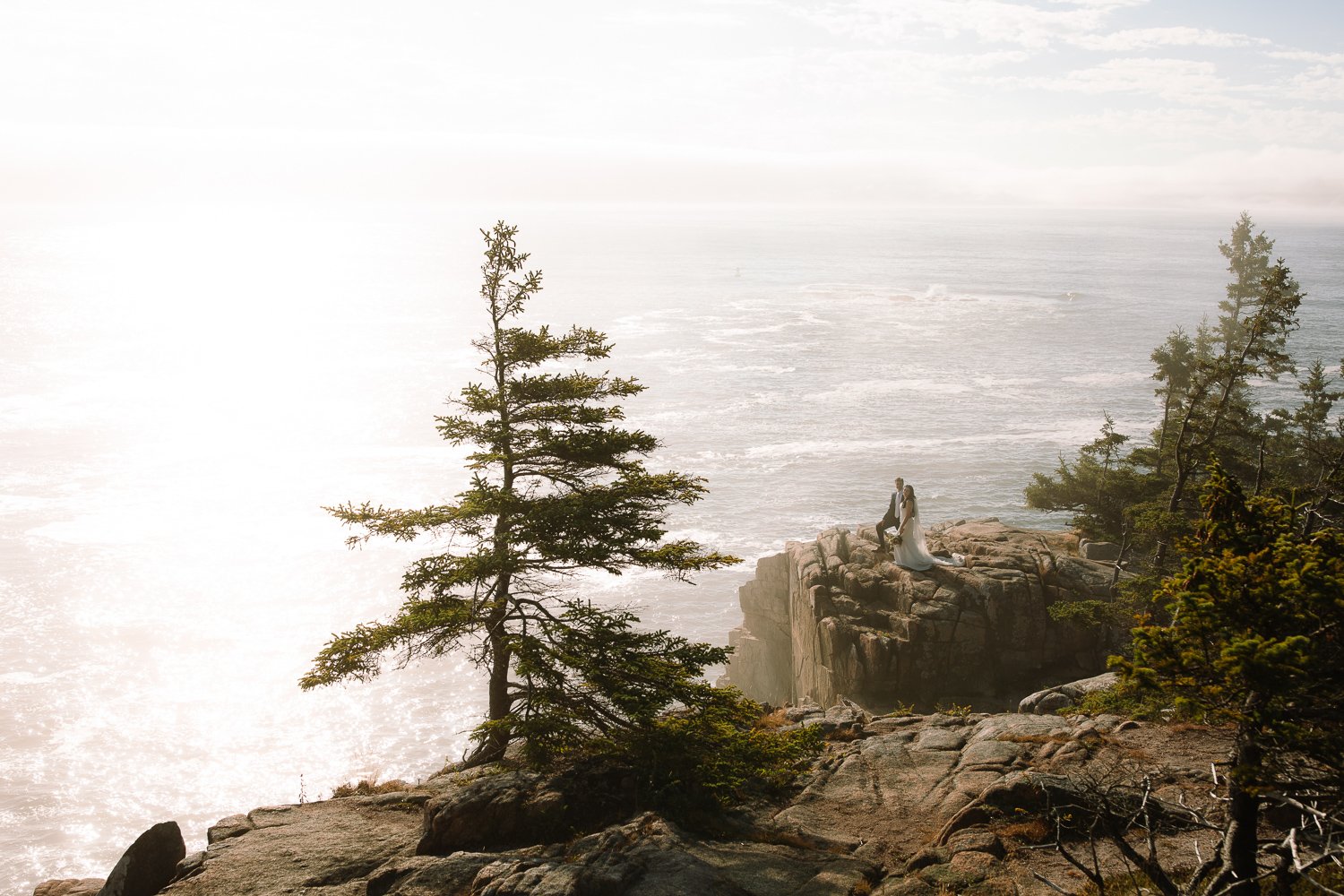 Rocky coastline with evergreen trees overlooking the Atlantic Ocean in Acadia National Park