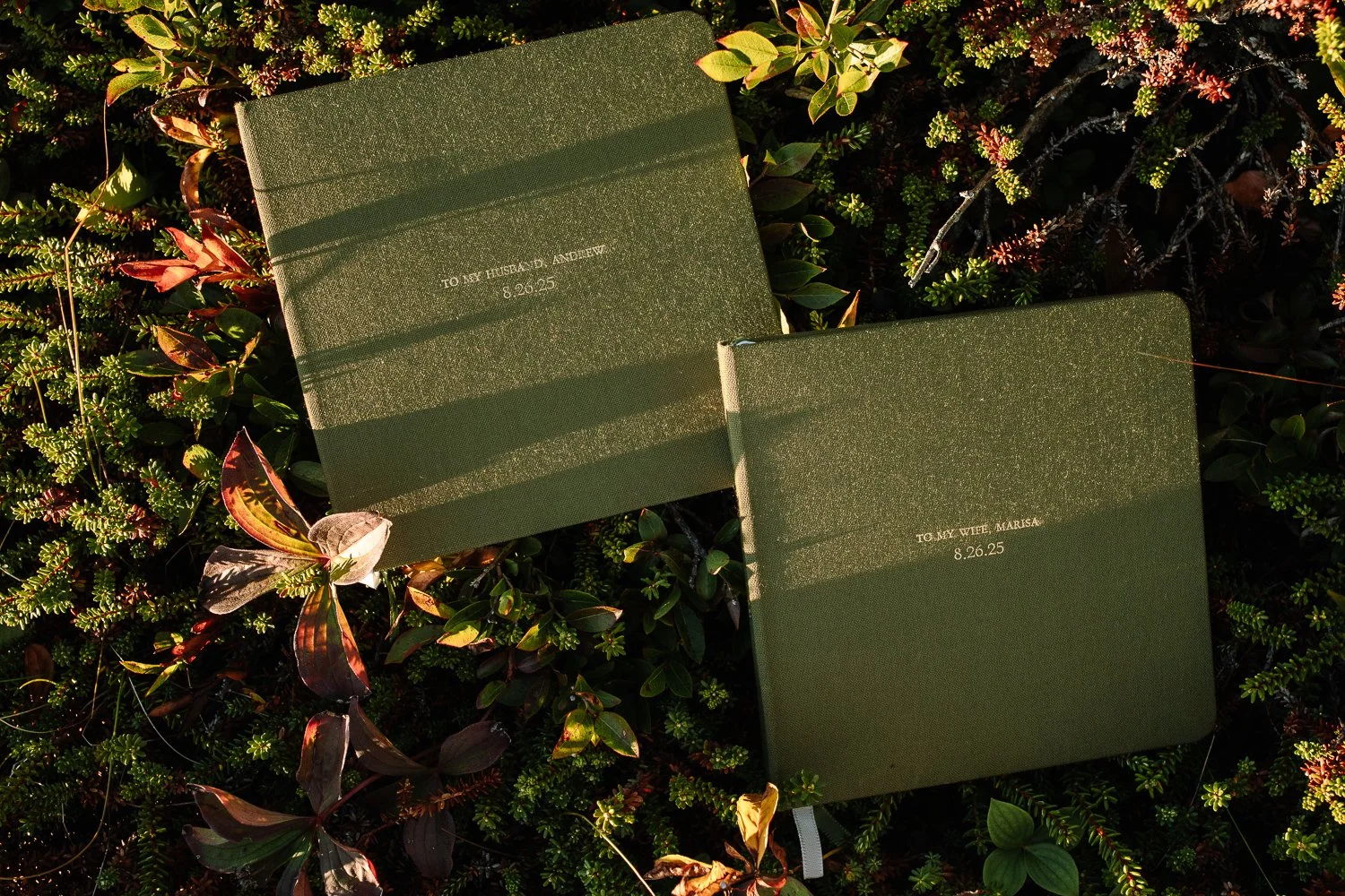 Handwritten vow books resting on coastal ground cover during an Acadia National Park elopement.