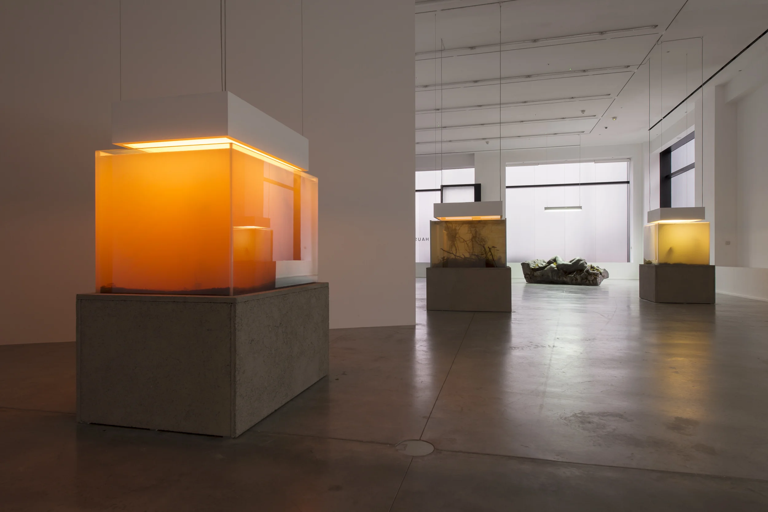 installation view, 'pierre huyghe. IN. BORDER. DEEP', hauser & wirth london, 2014 © pierre huyghe courtesy the artist and hauser & wirth, london. photography by hugo glendinning 